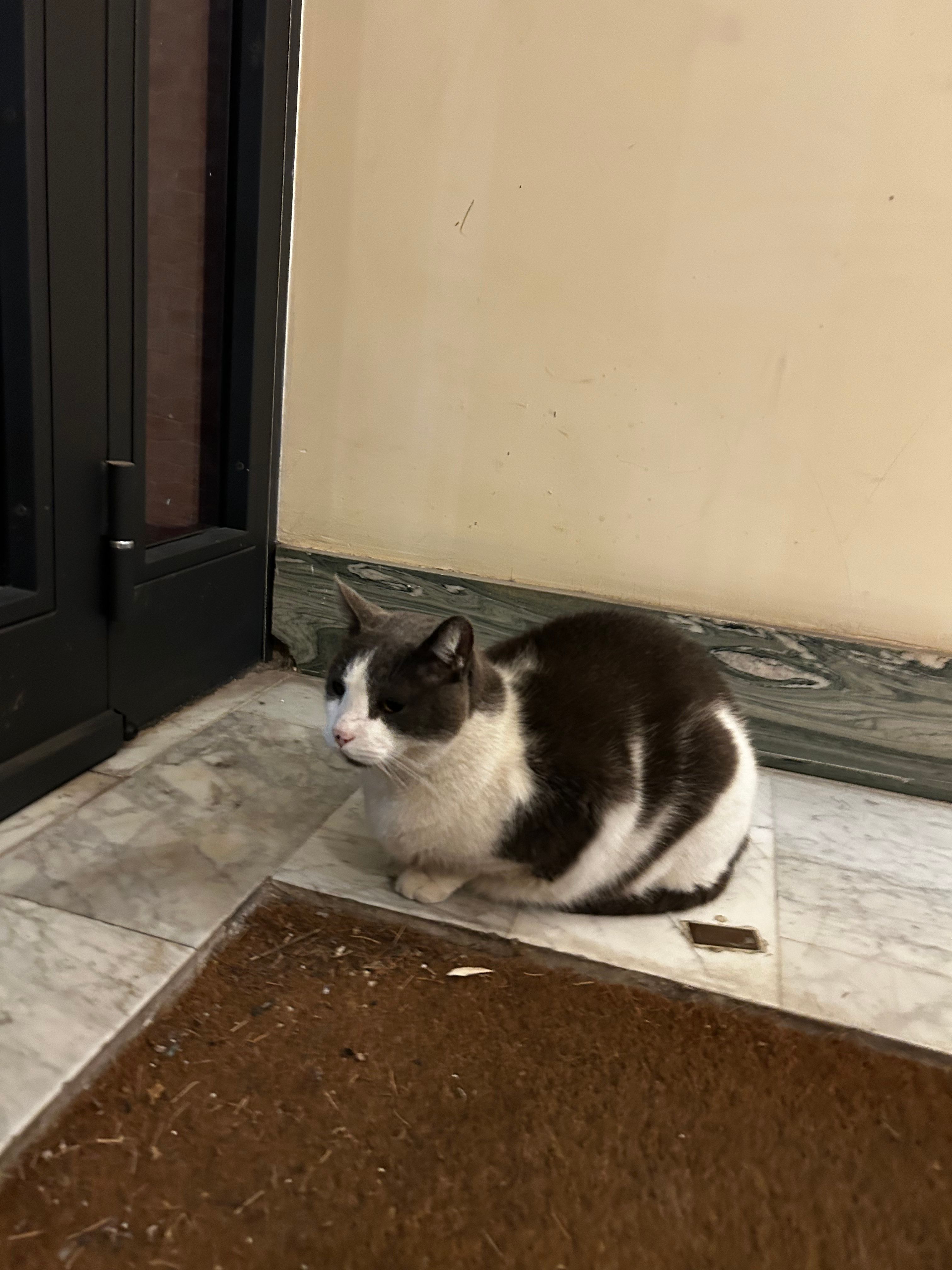 image-11