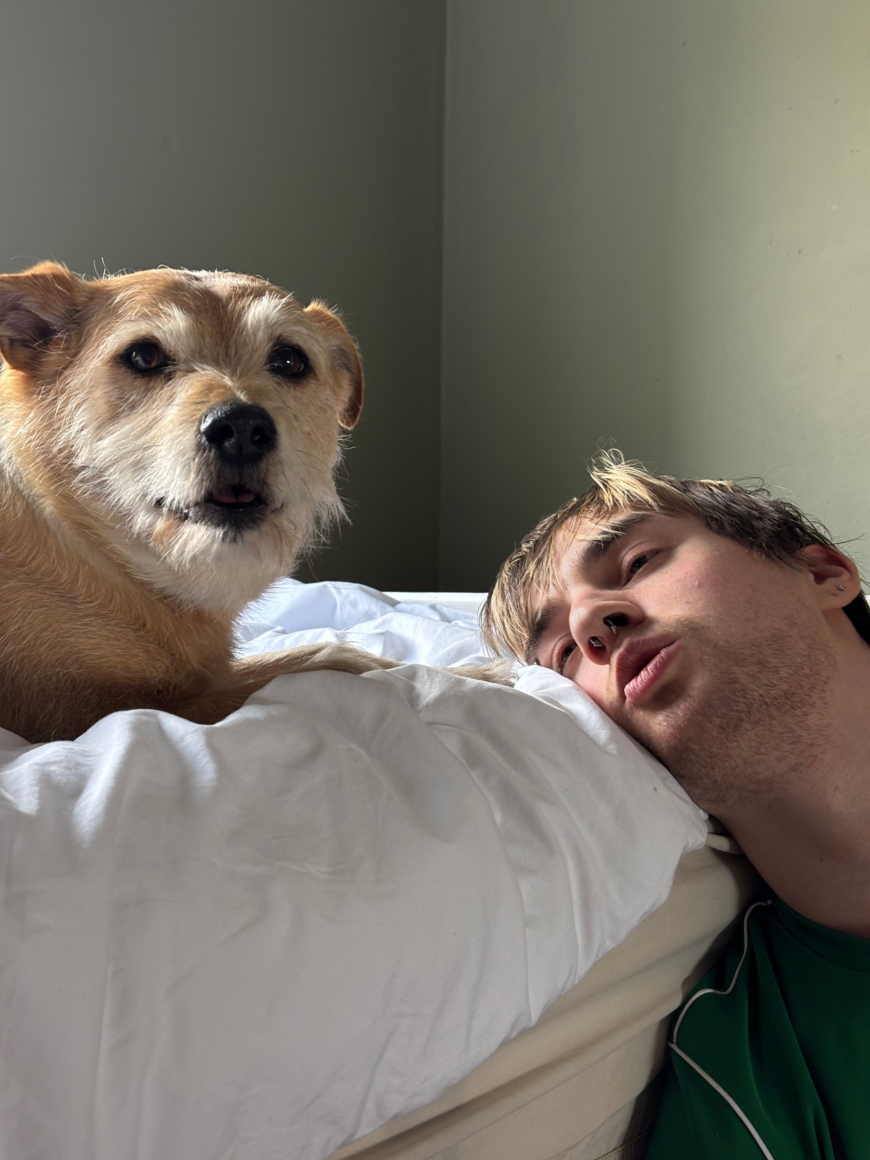 image-8