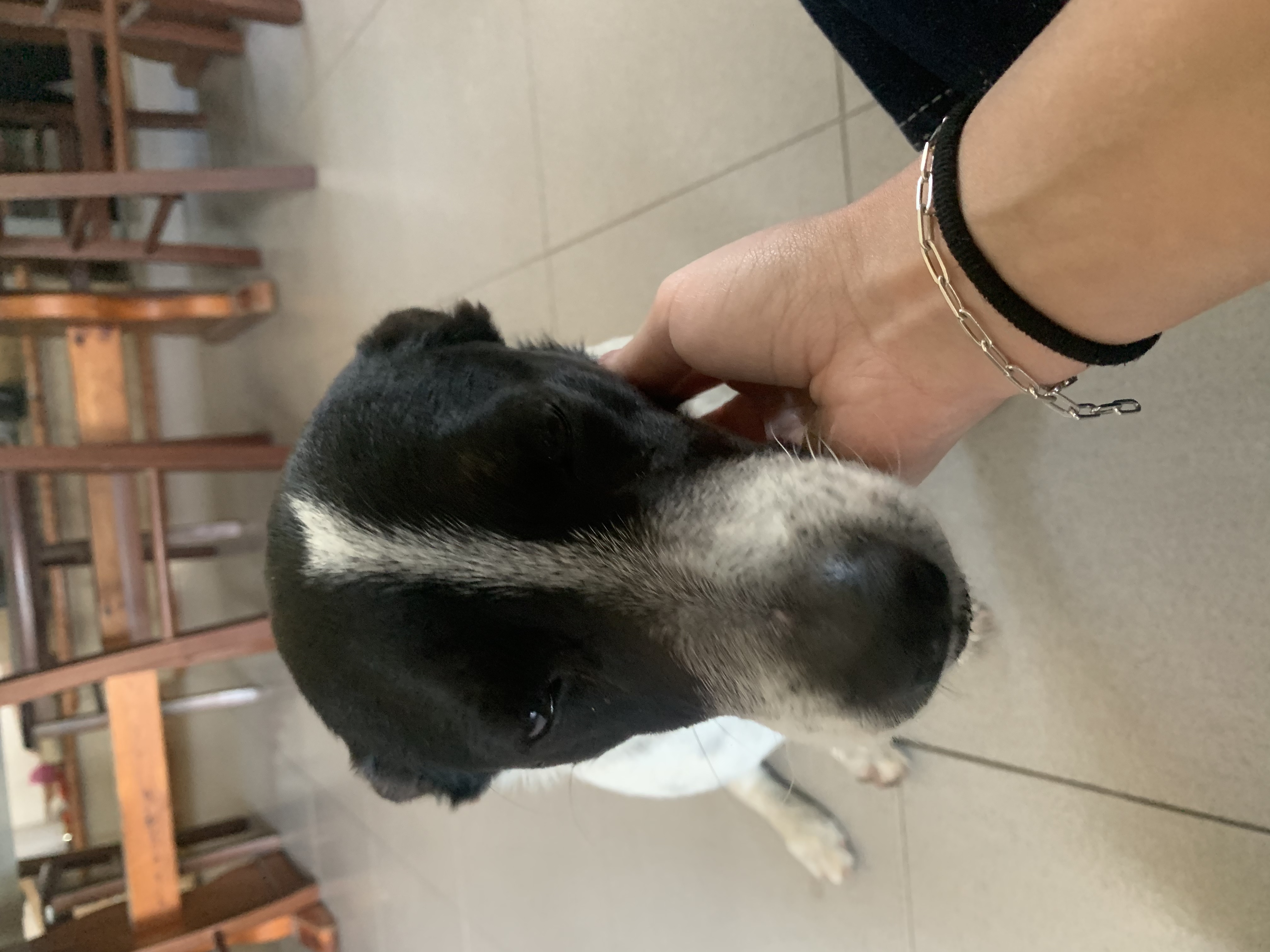 image-8