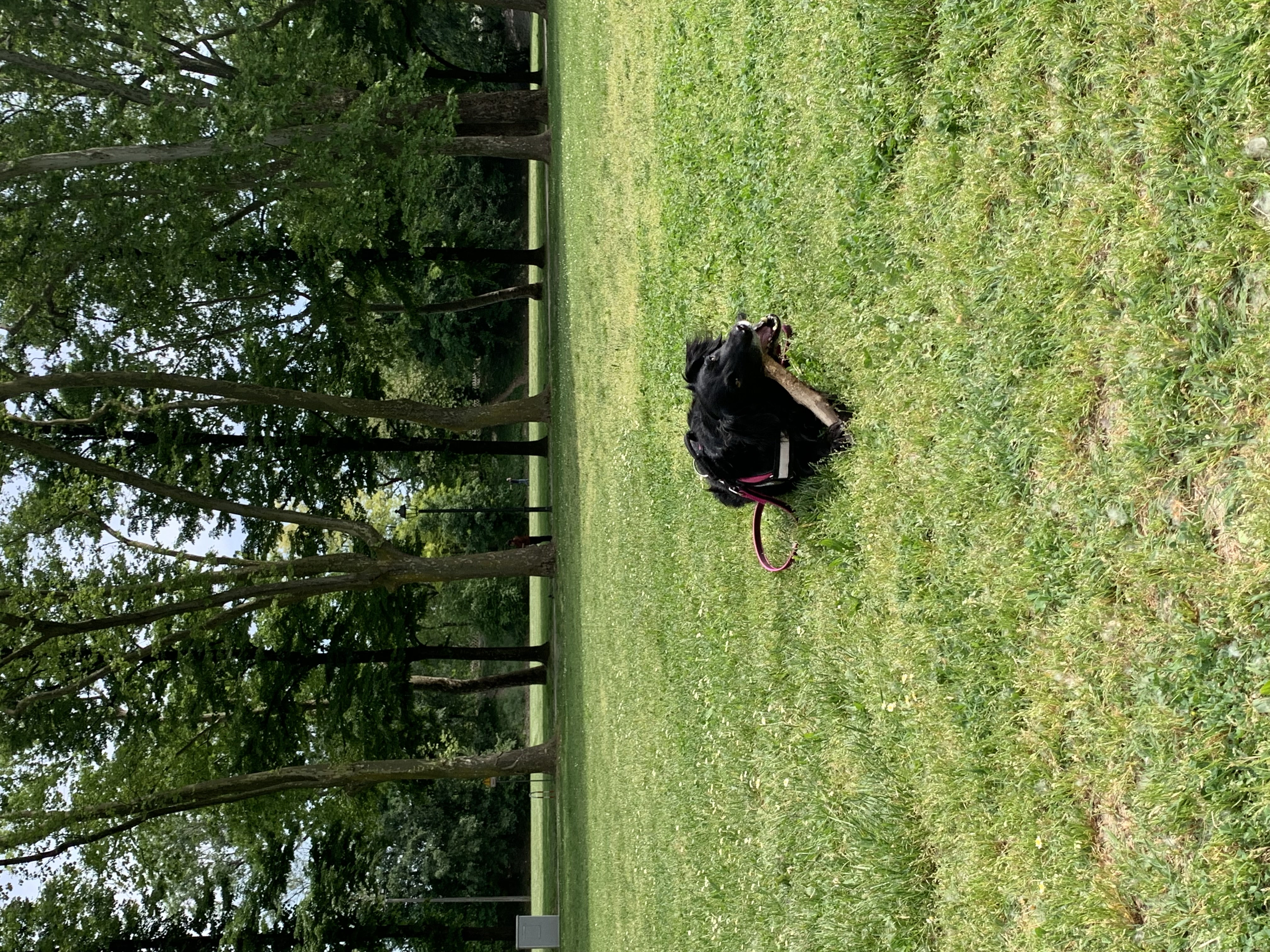 image-12