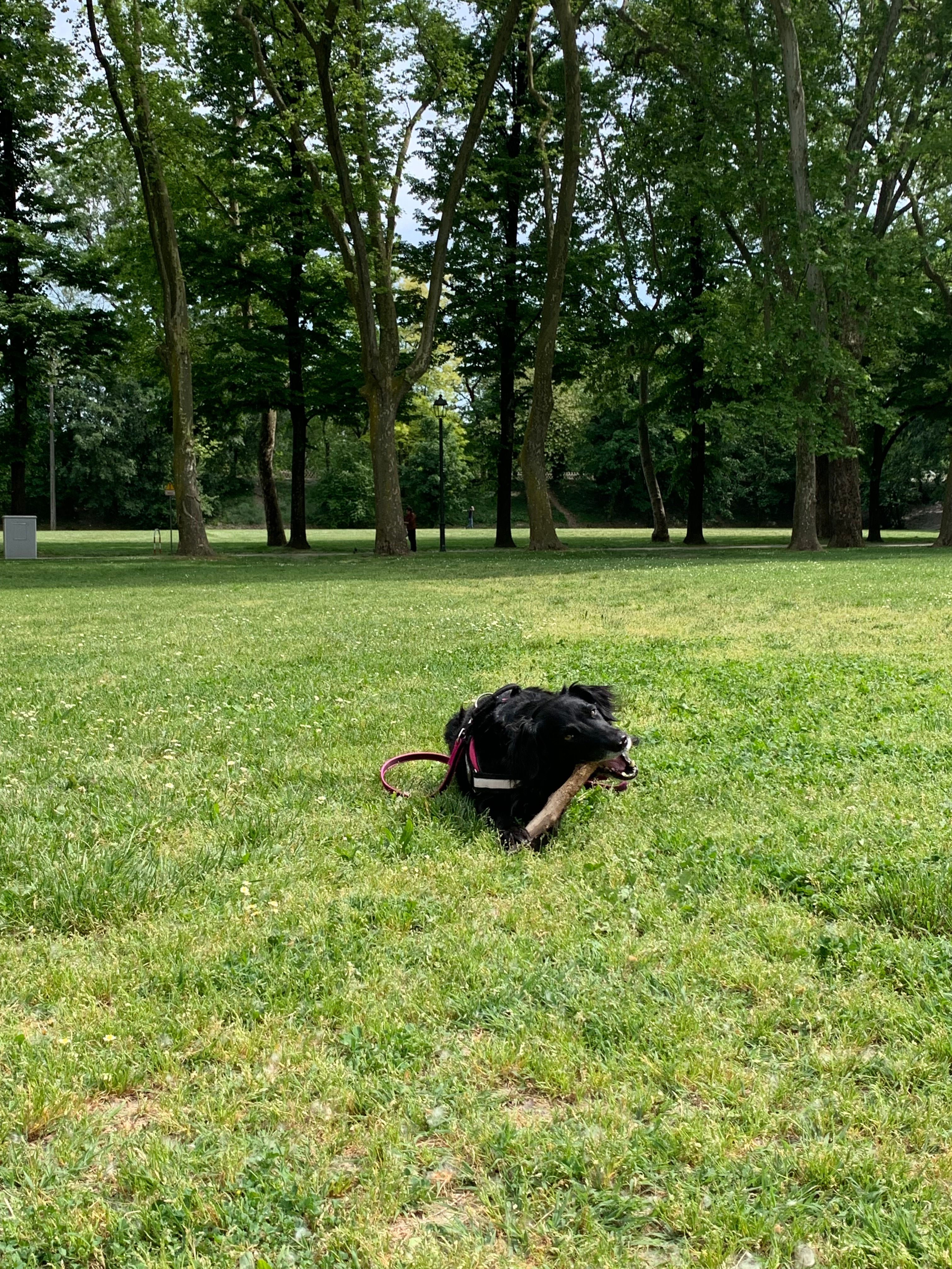 image-12