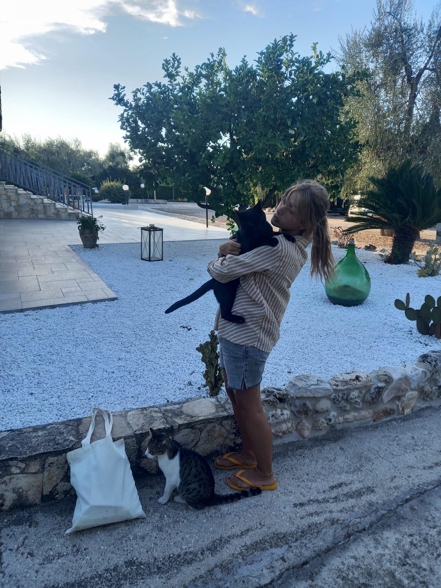 image-9
