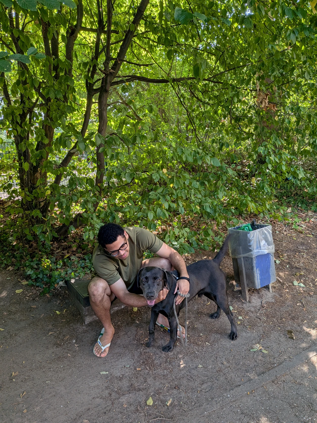 image-8