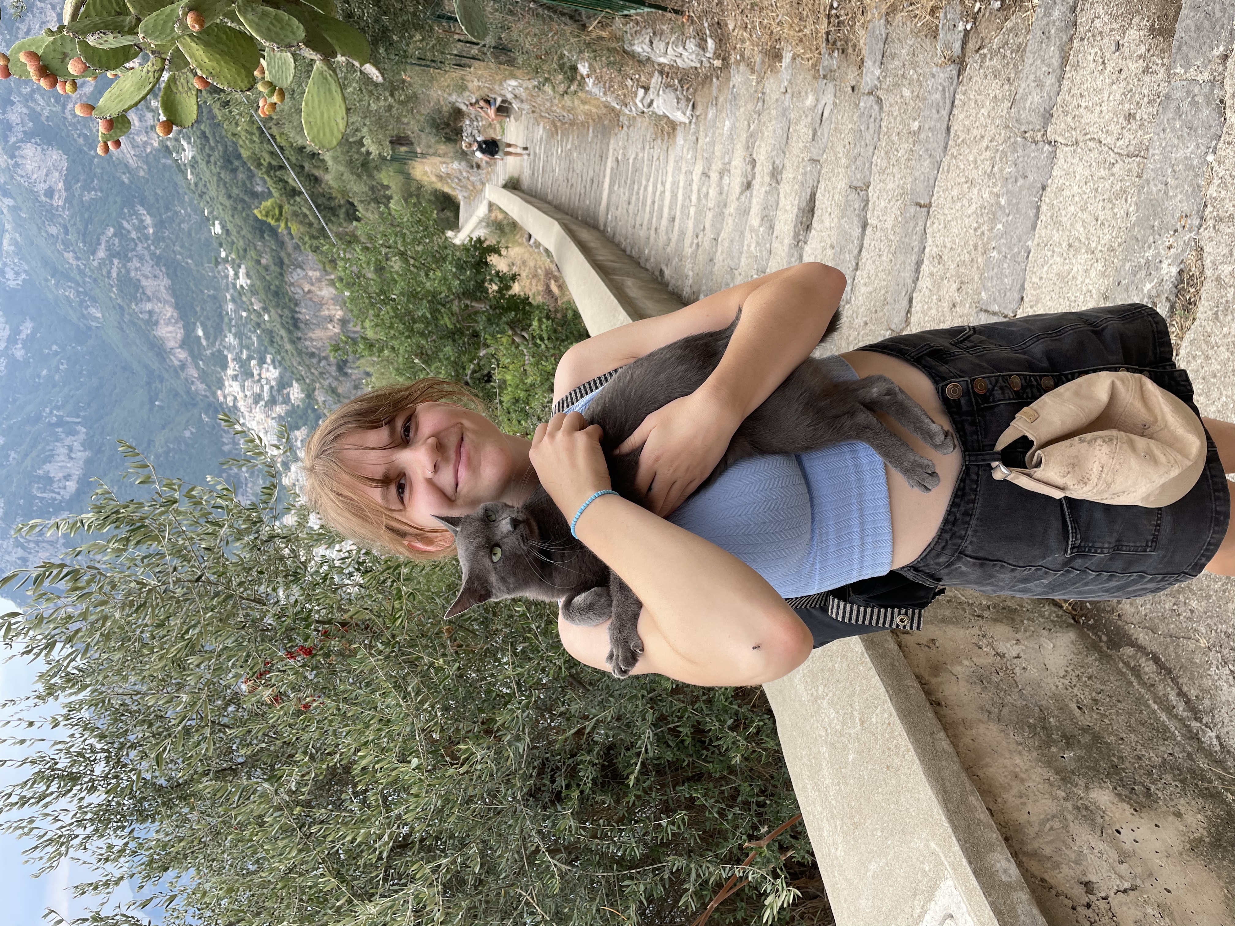 image-2
