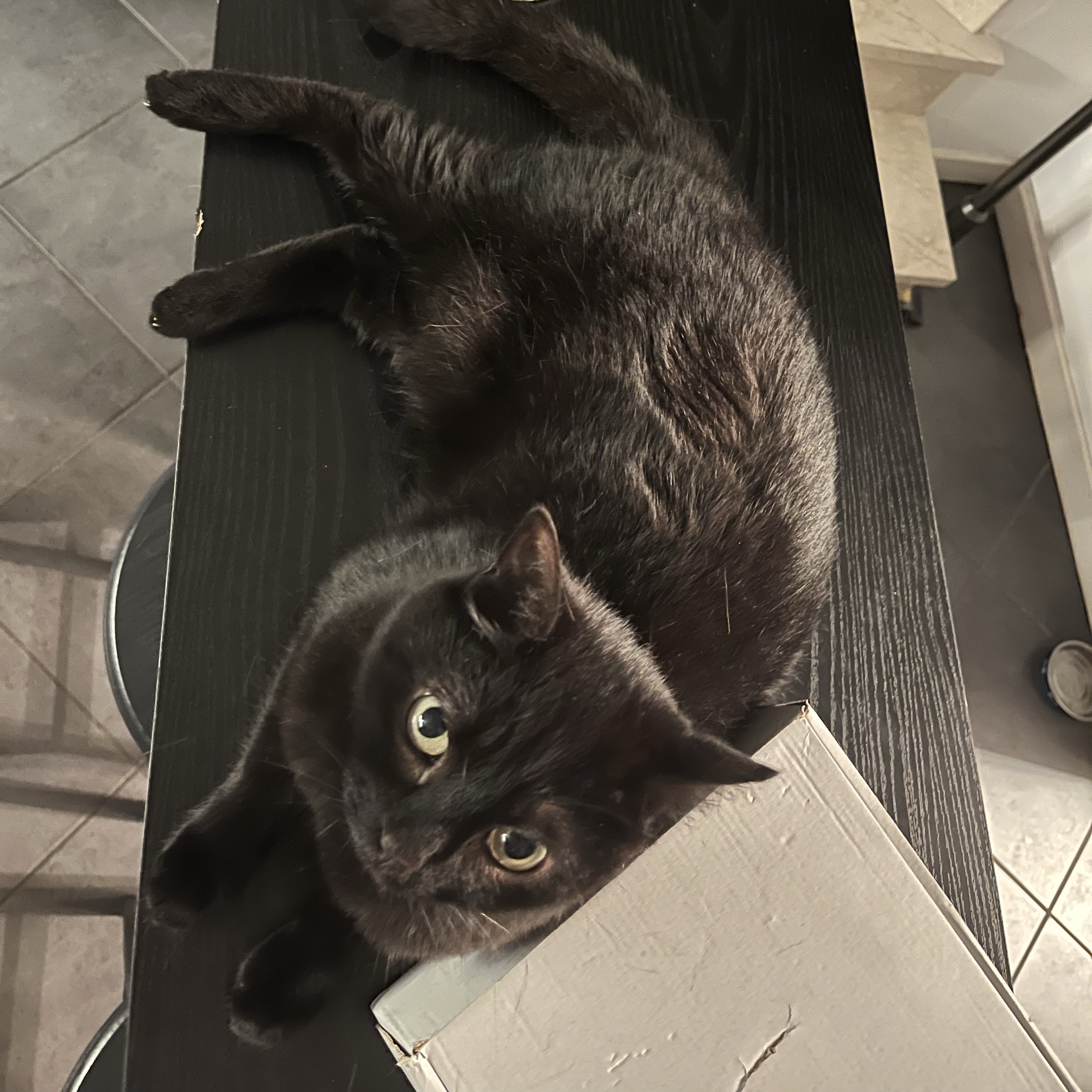 Minü