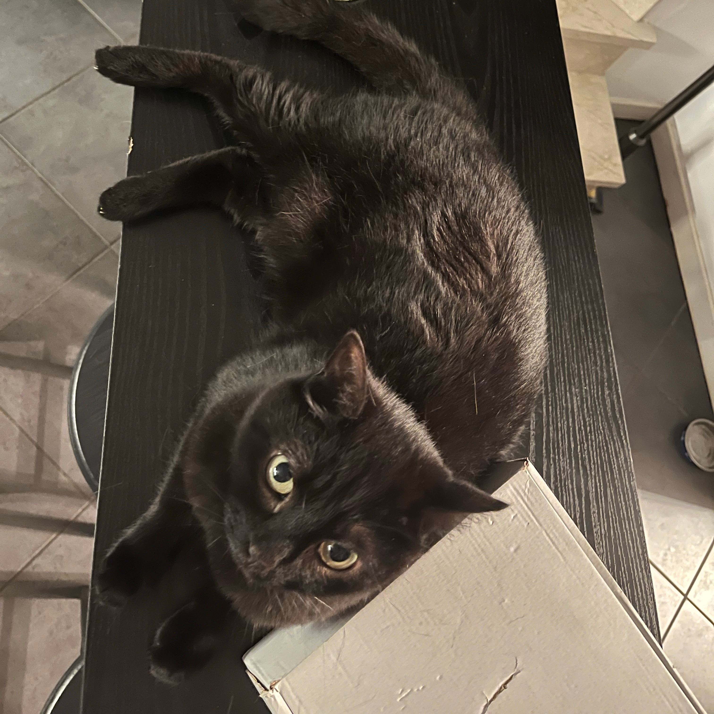 Minü