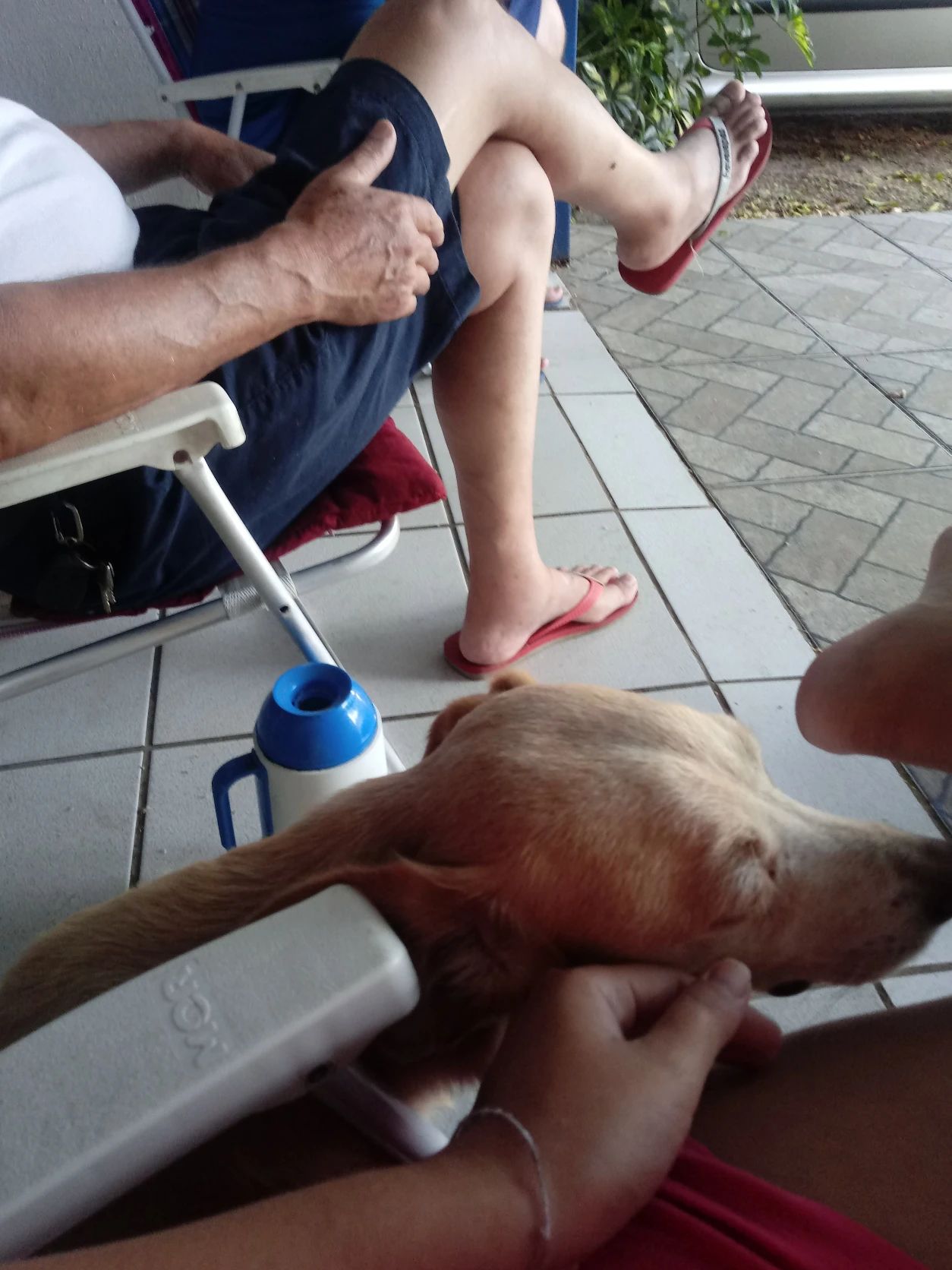 image-5
