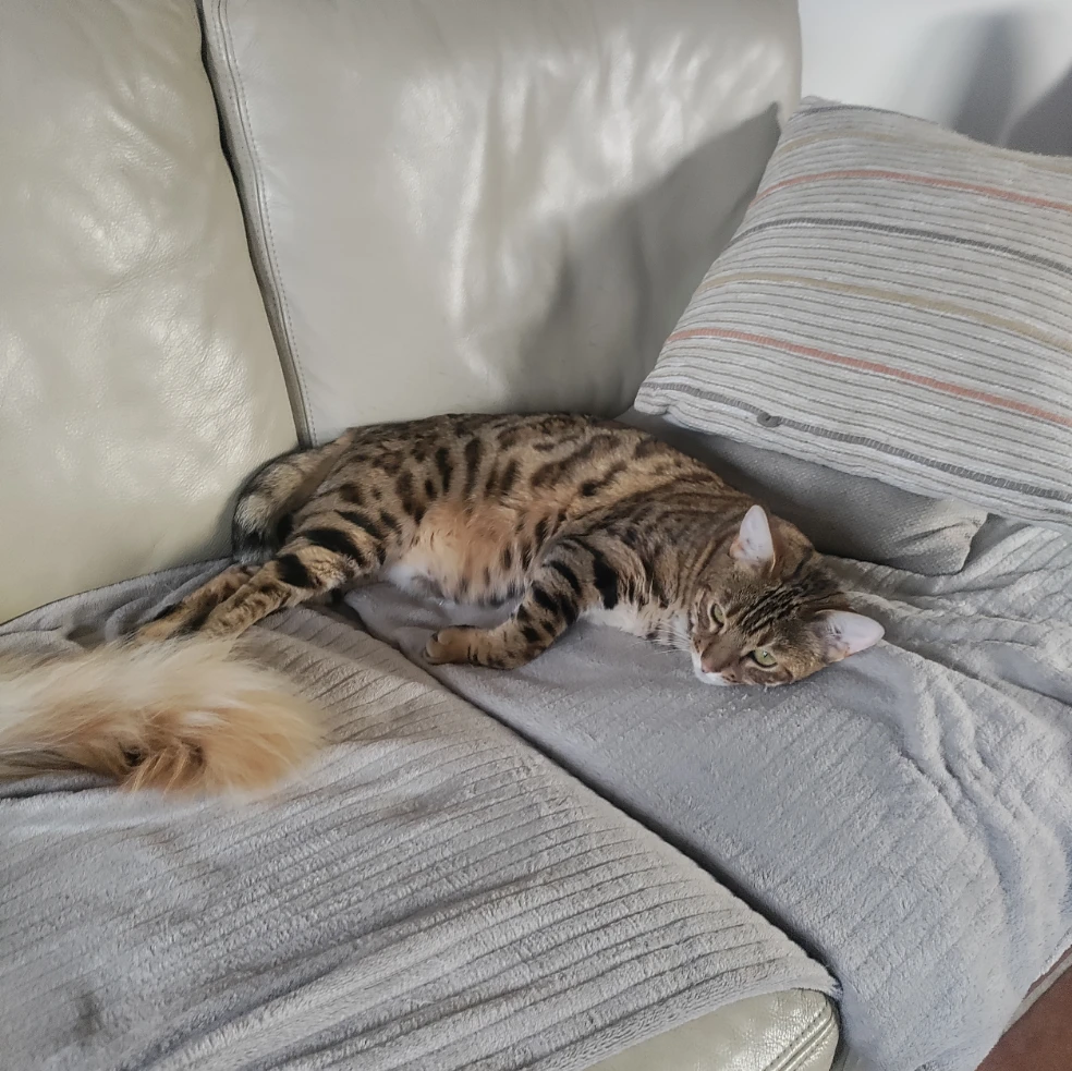 Nala