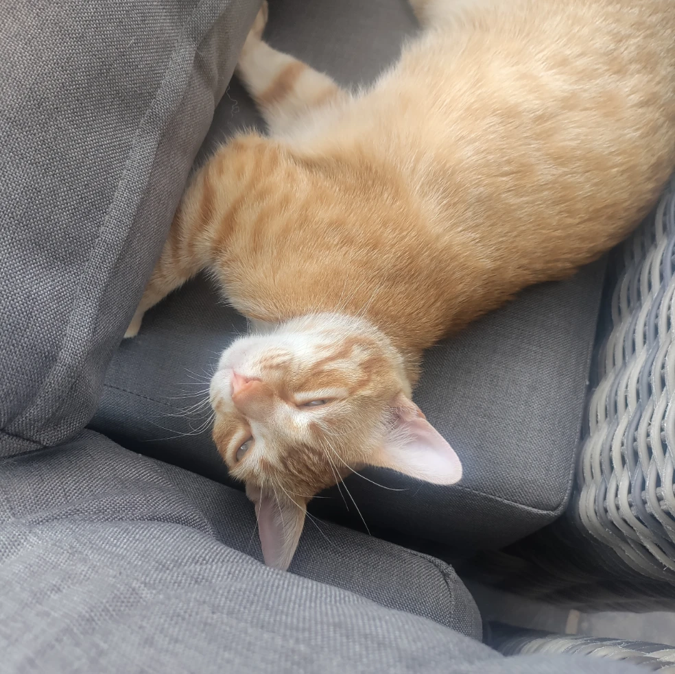 Max