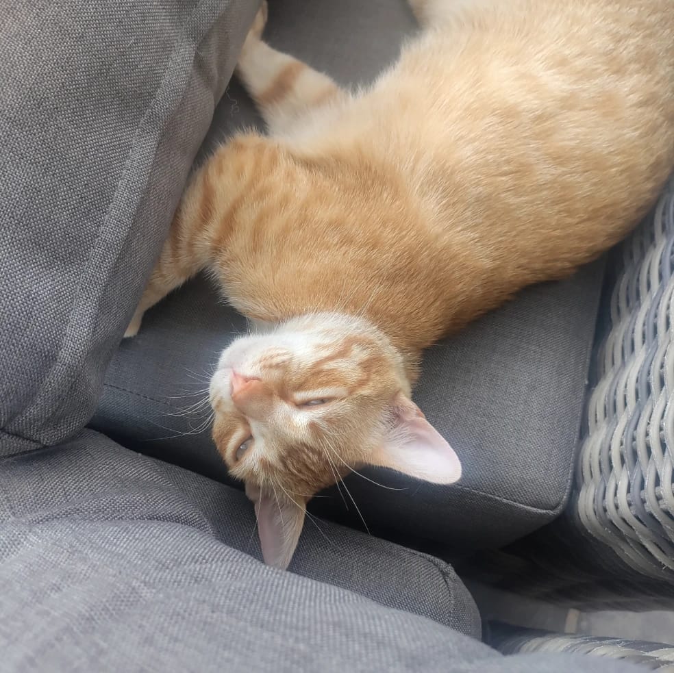 Max