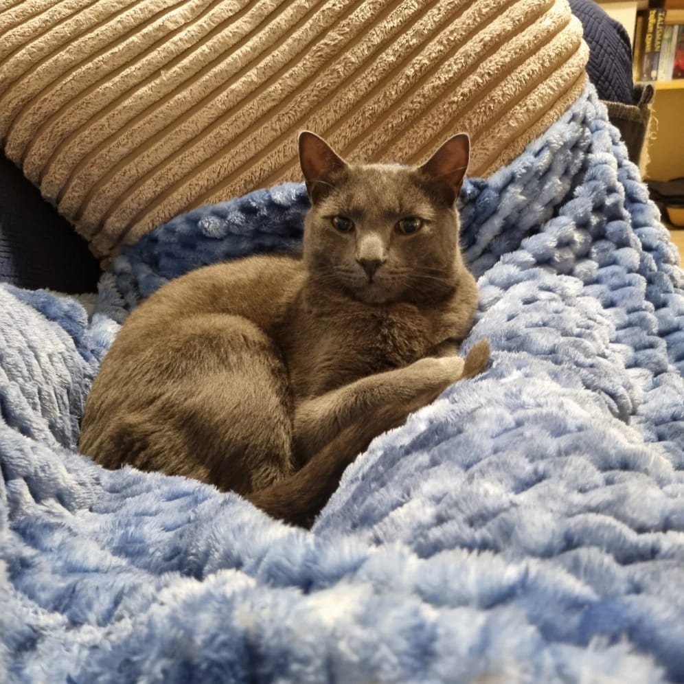 Alan