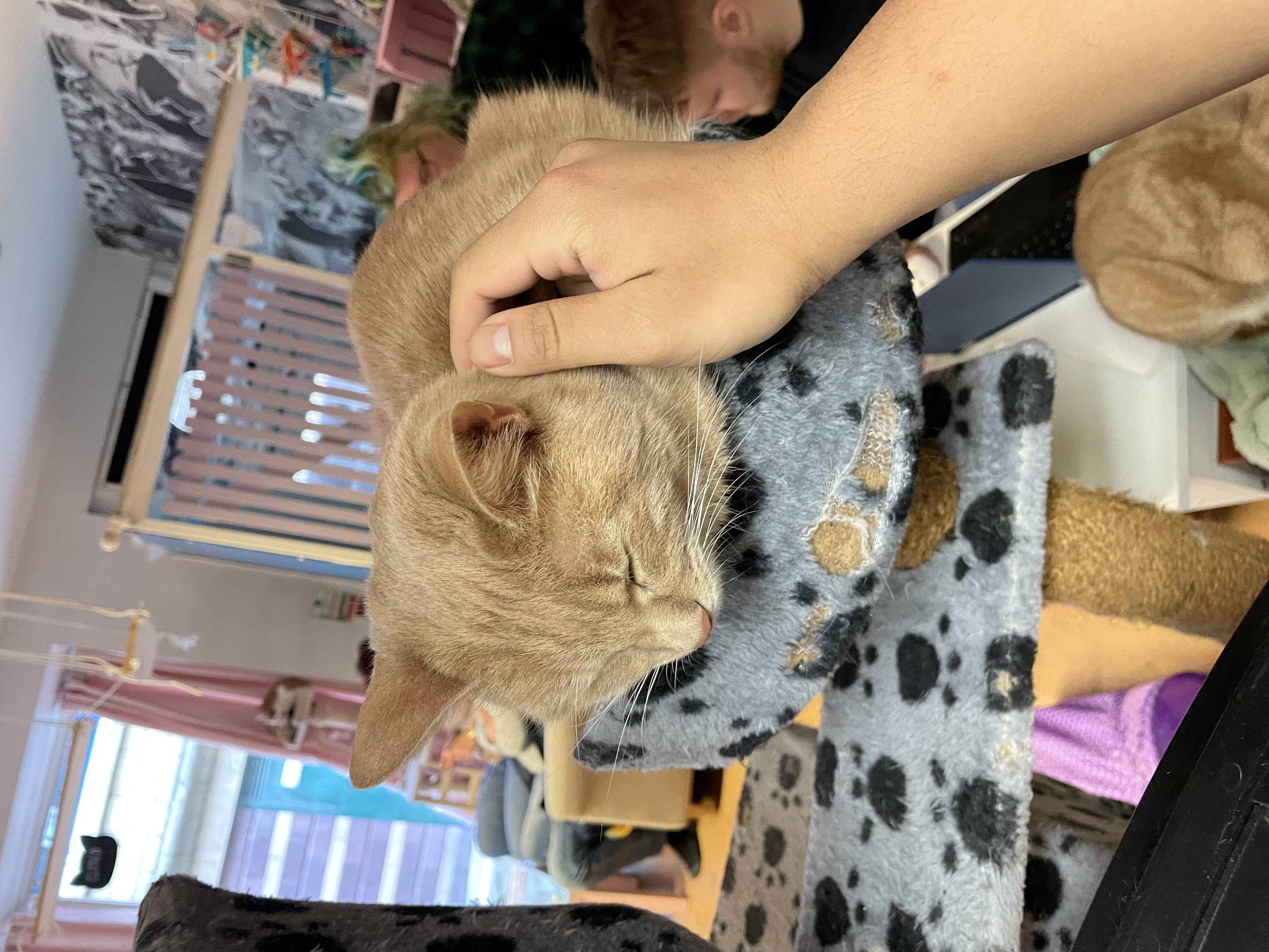 image-6