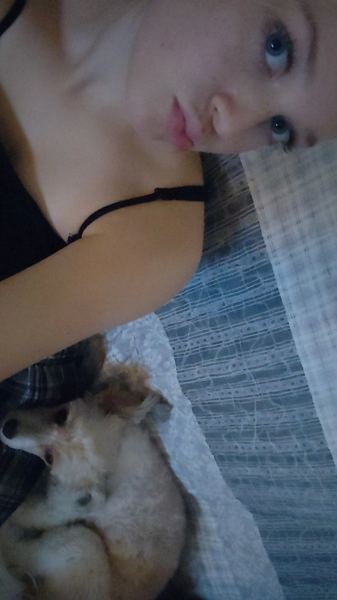 image-6