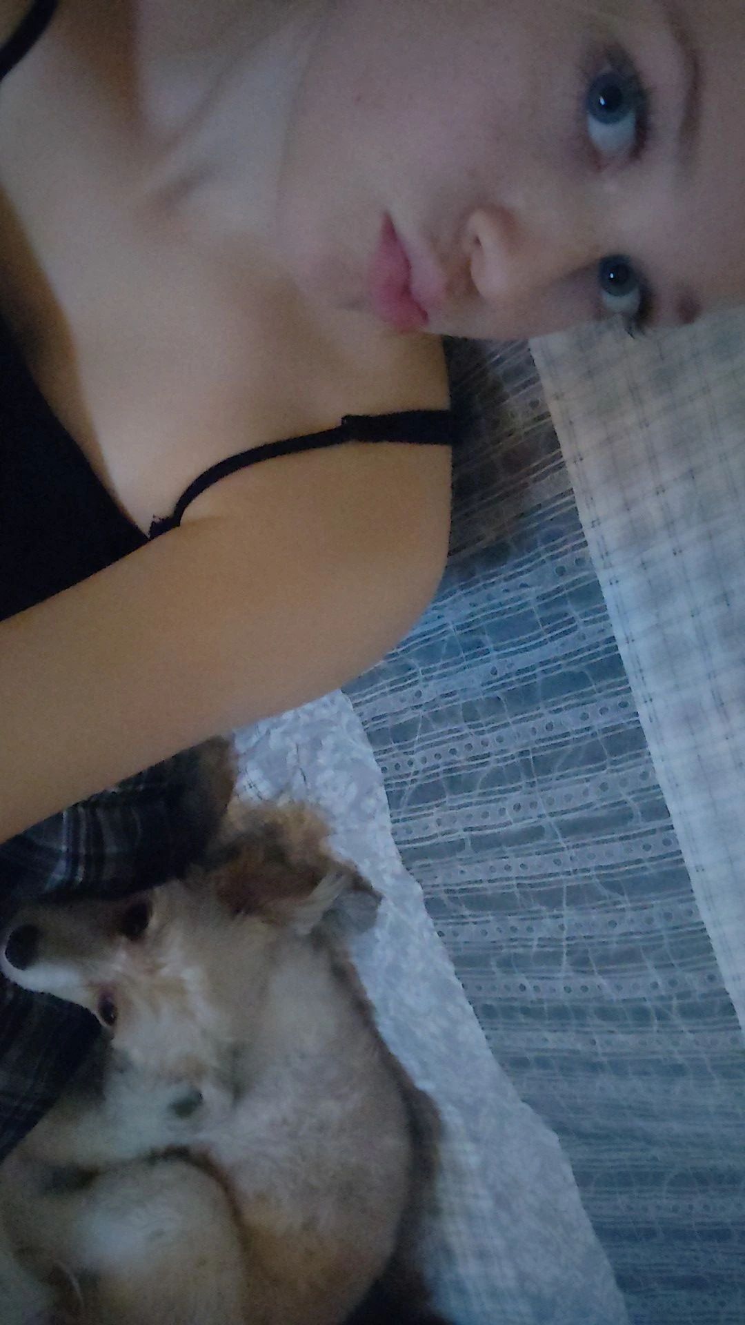 image-6