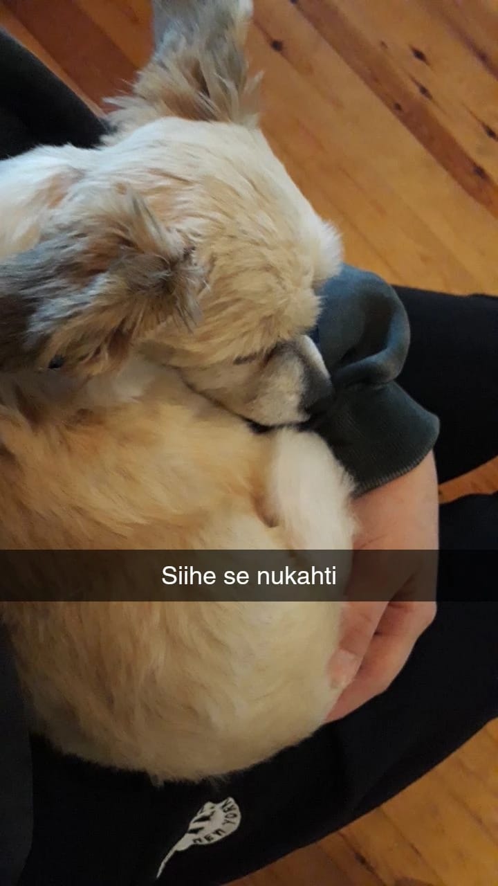 image-4
