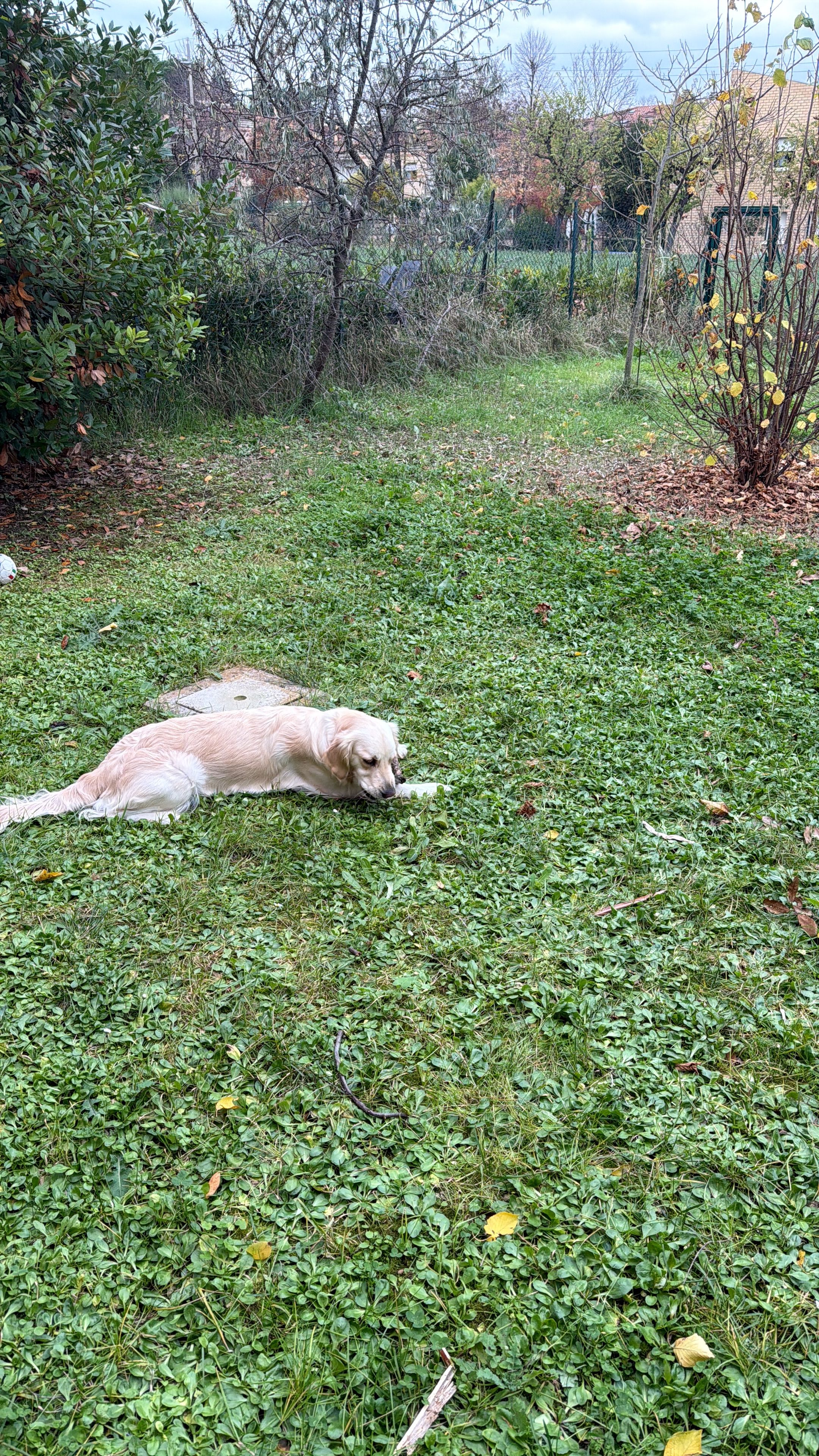 image-5