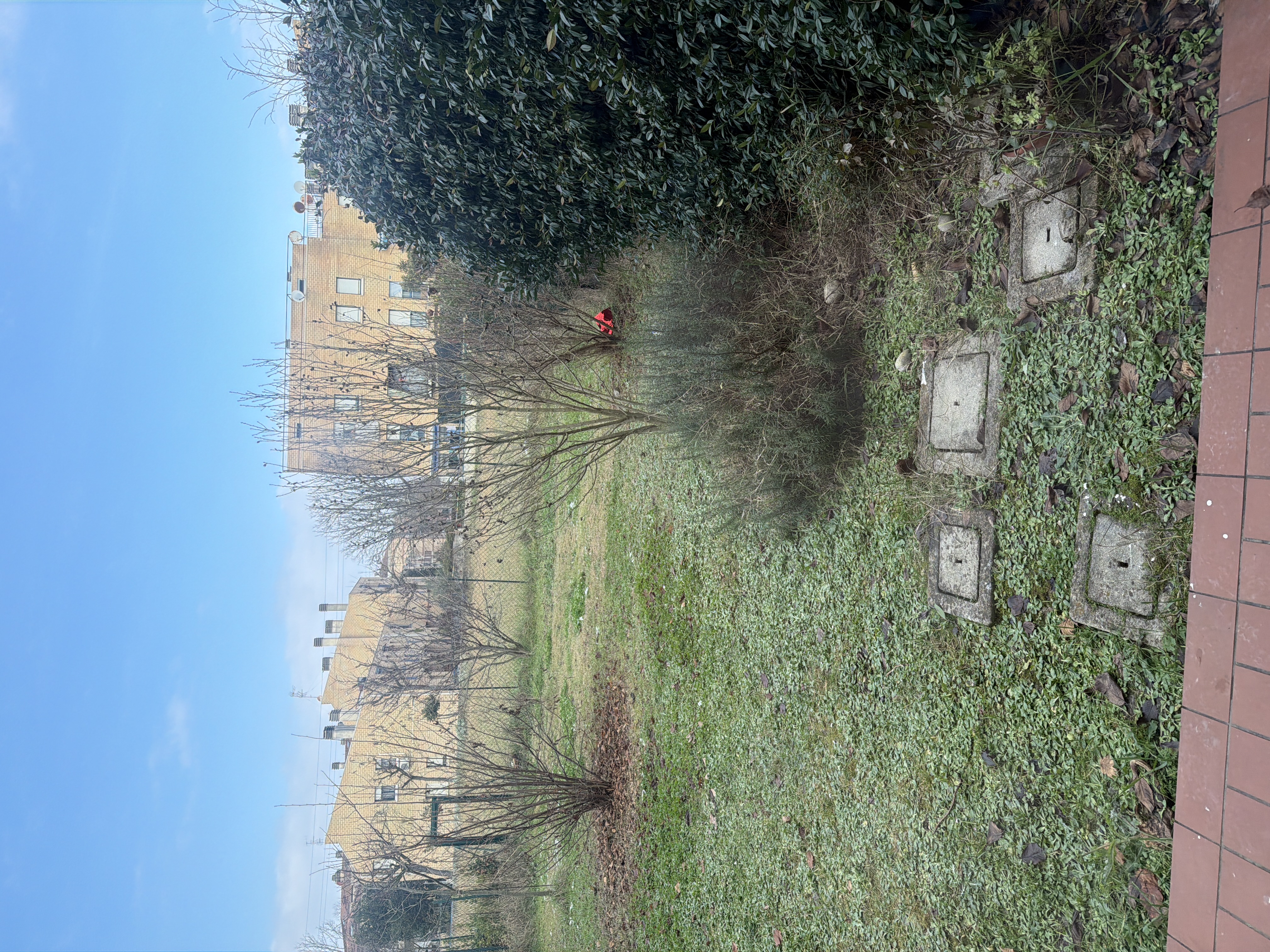 image-10