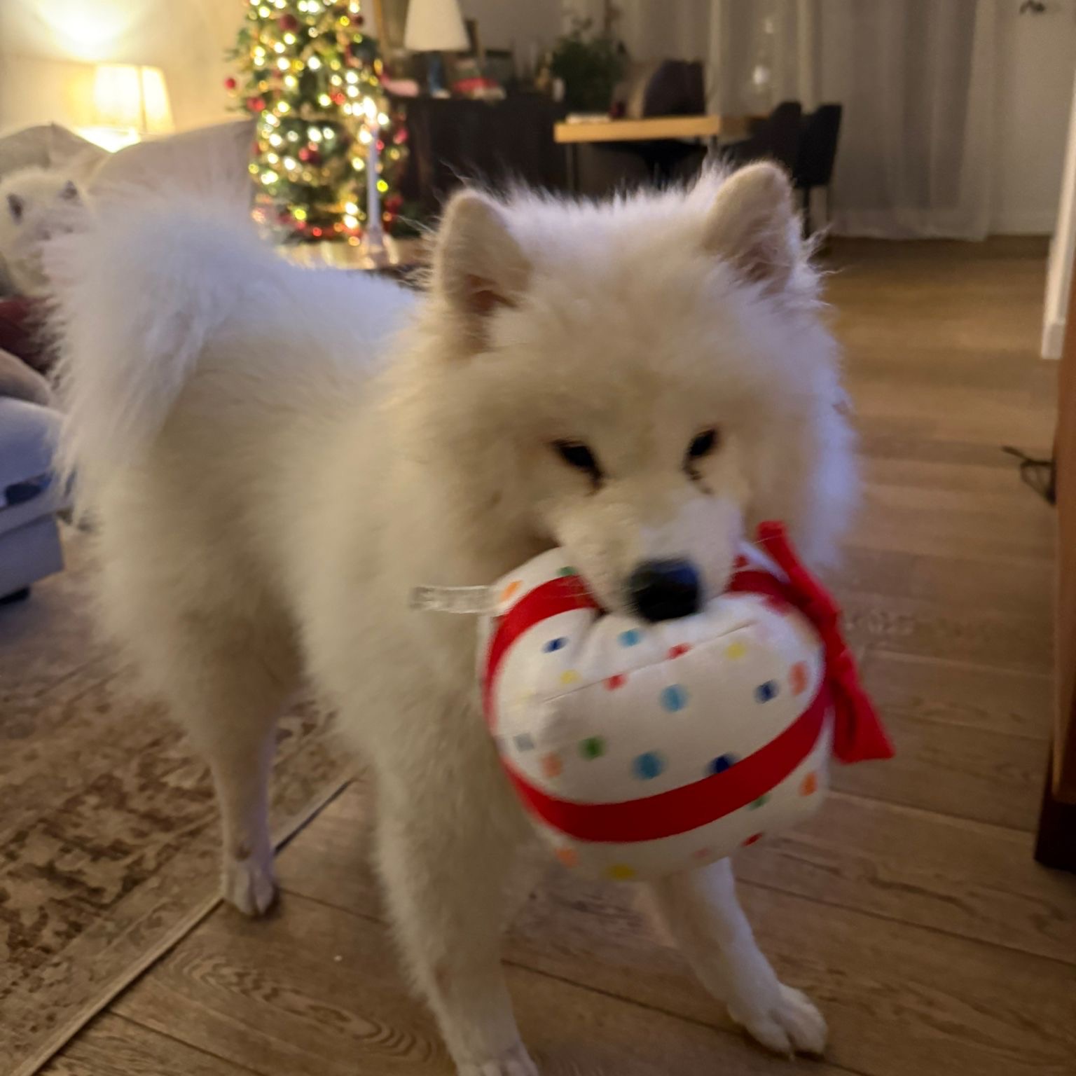 Friki
