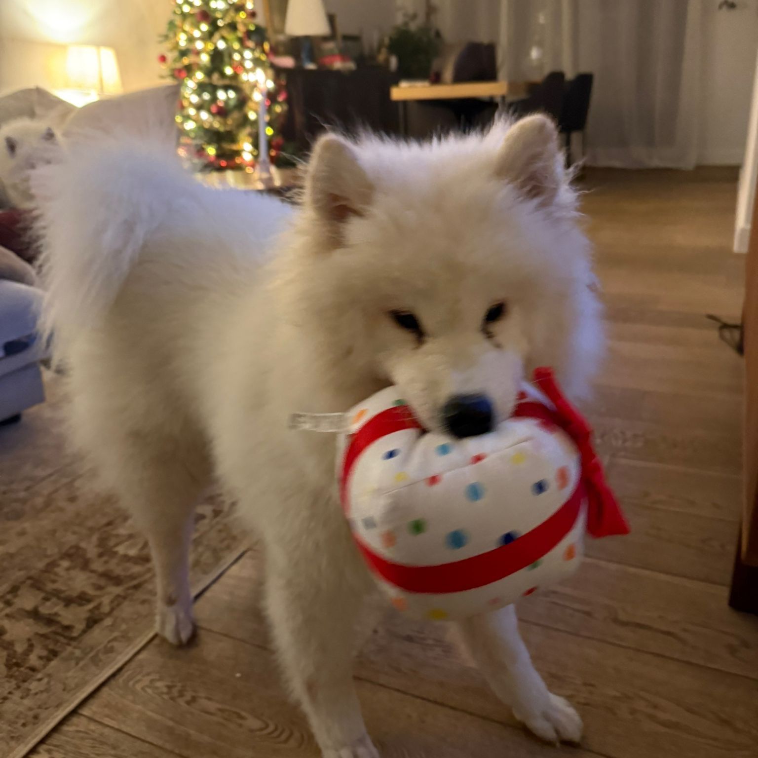 Friki
