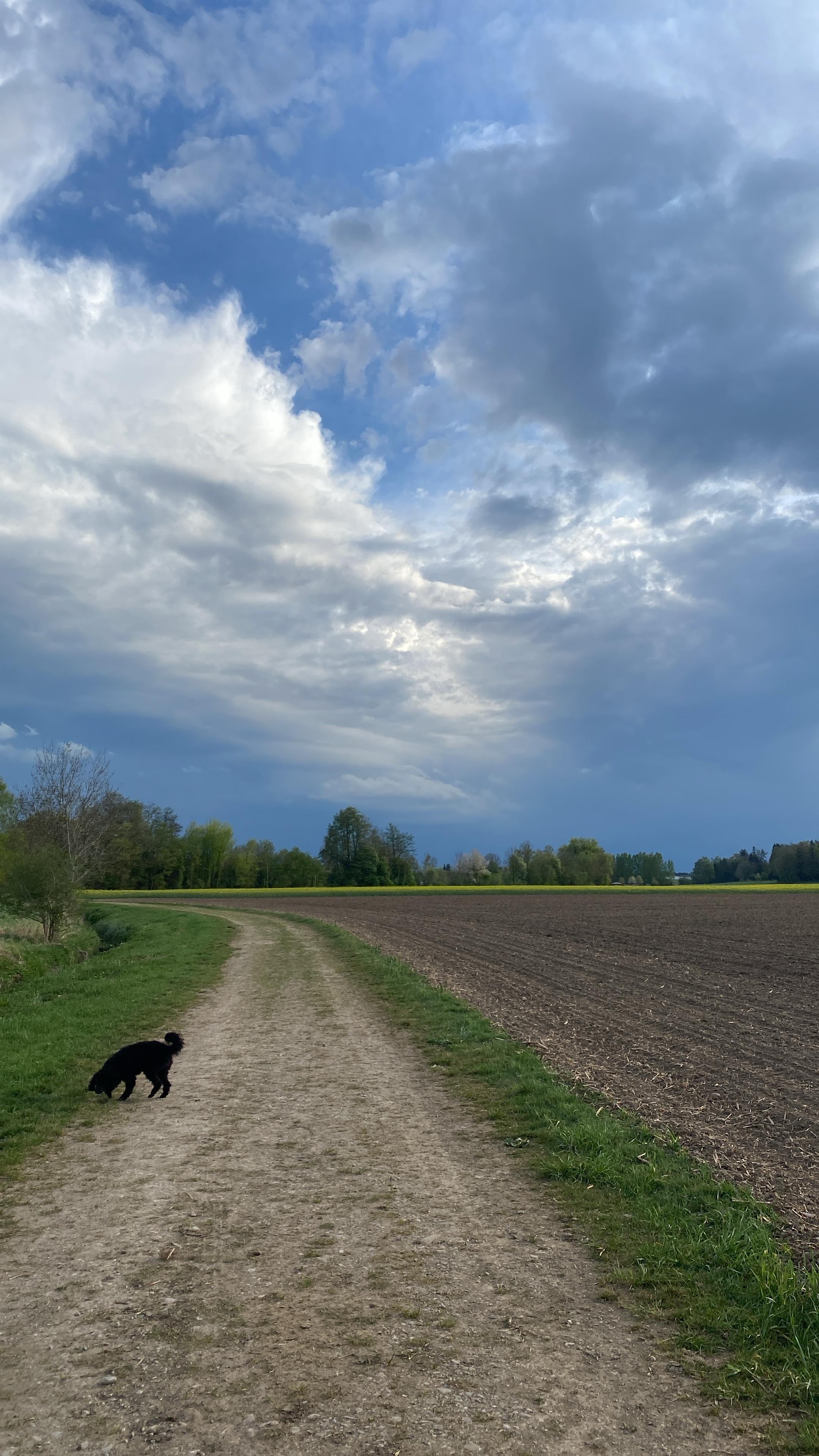 image-14