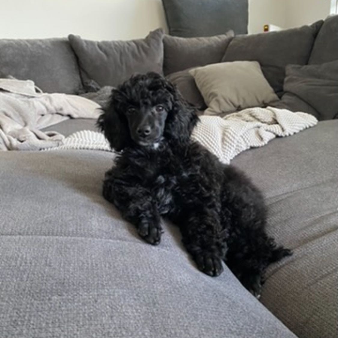 Lilly