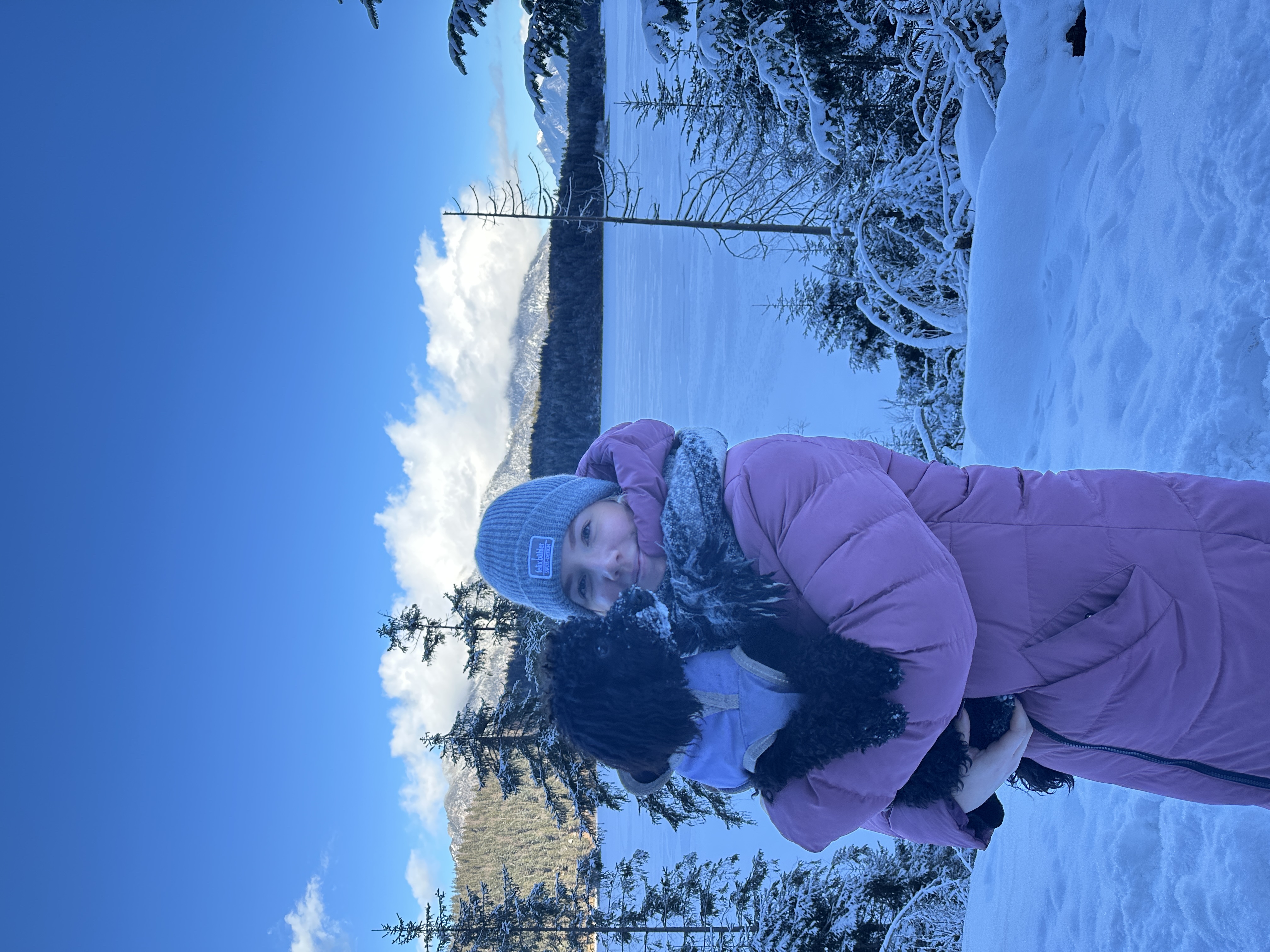 image-1