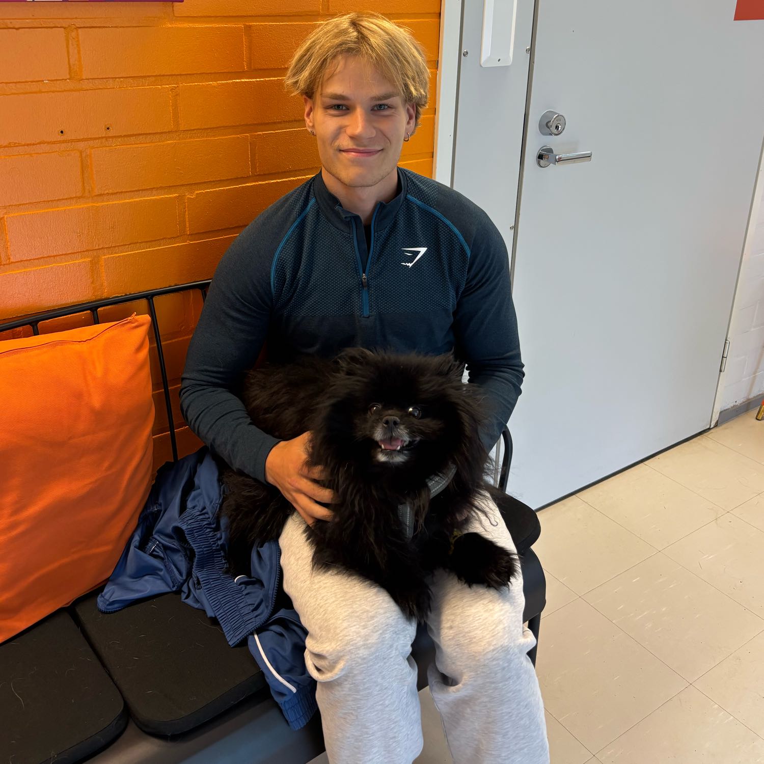 Perttu