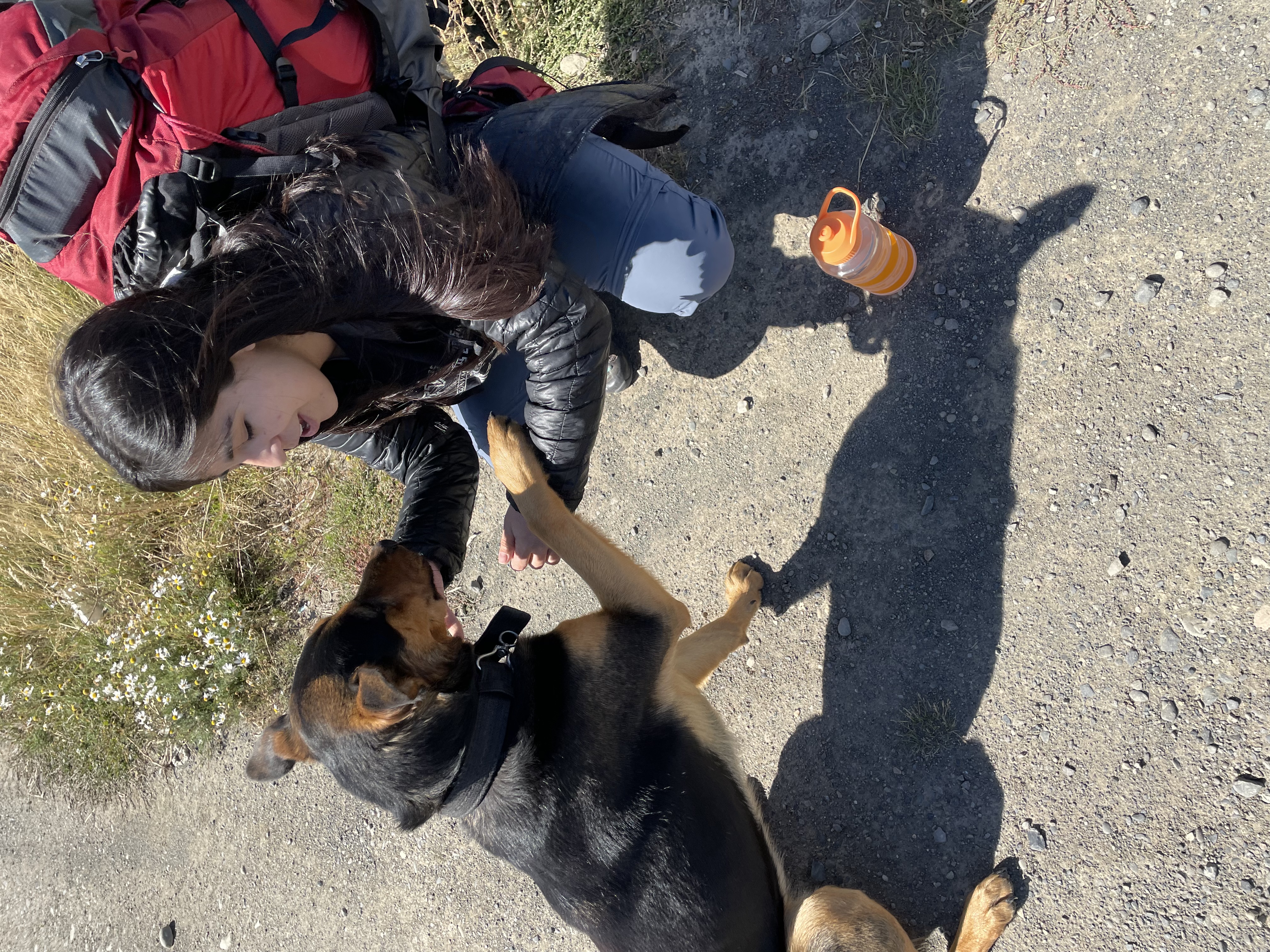 image-6