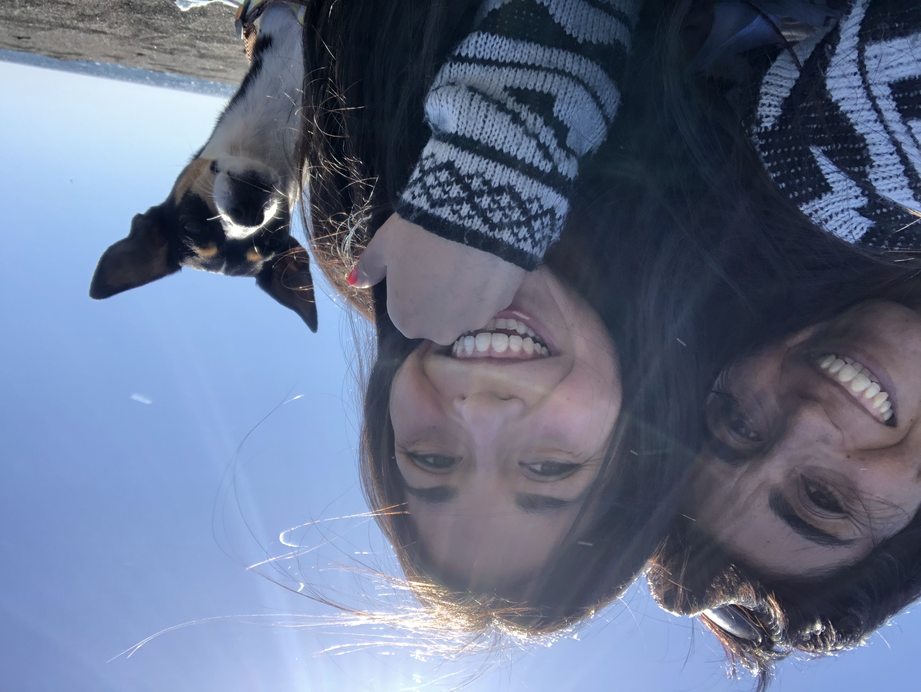 image-1