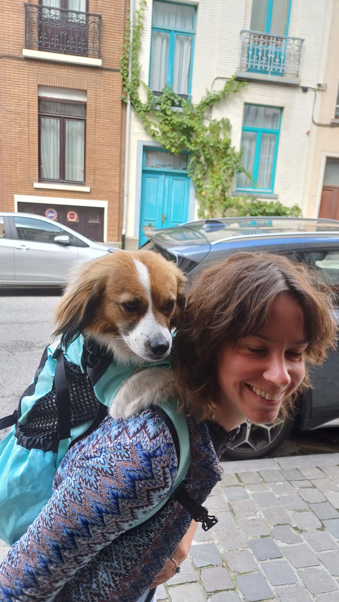 image-5
