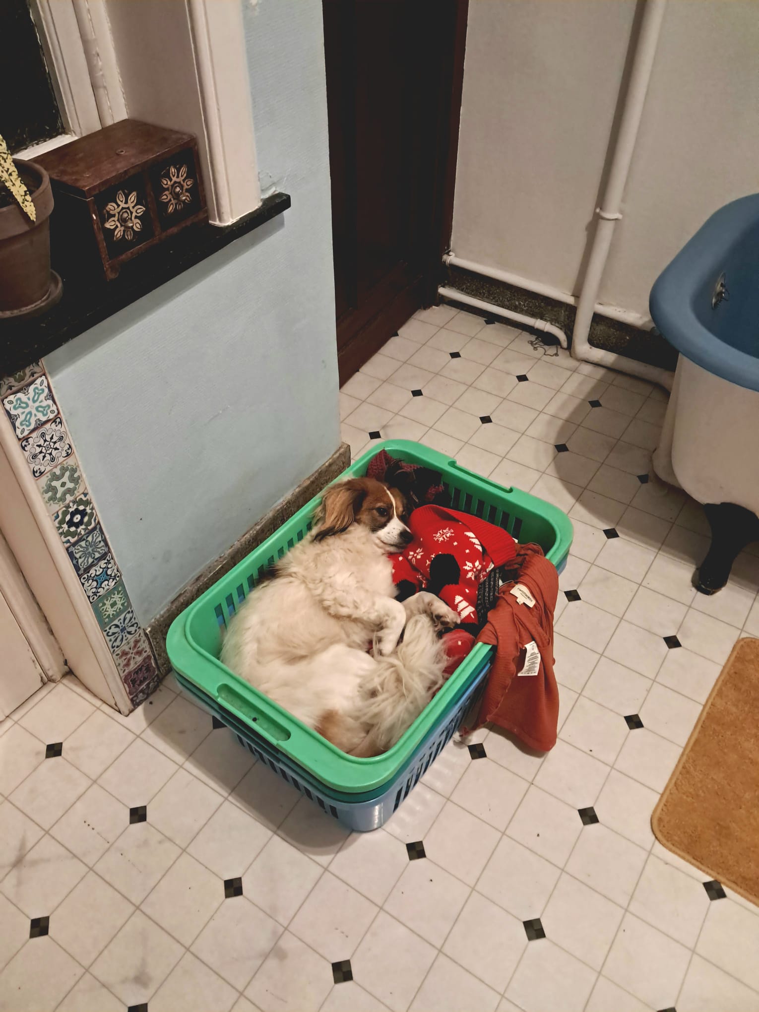 image-15