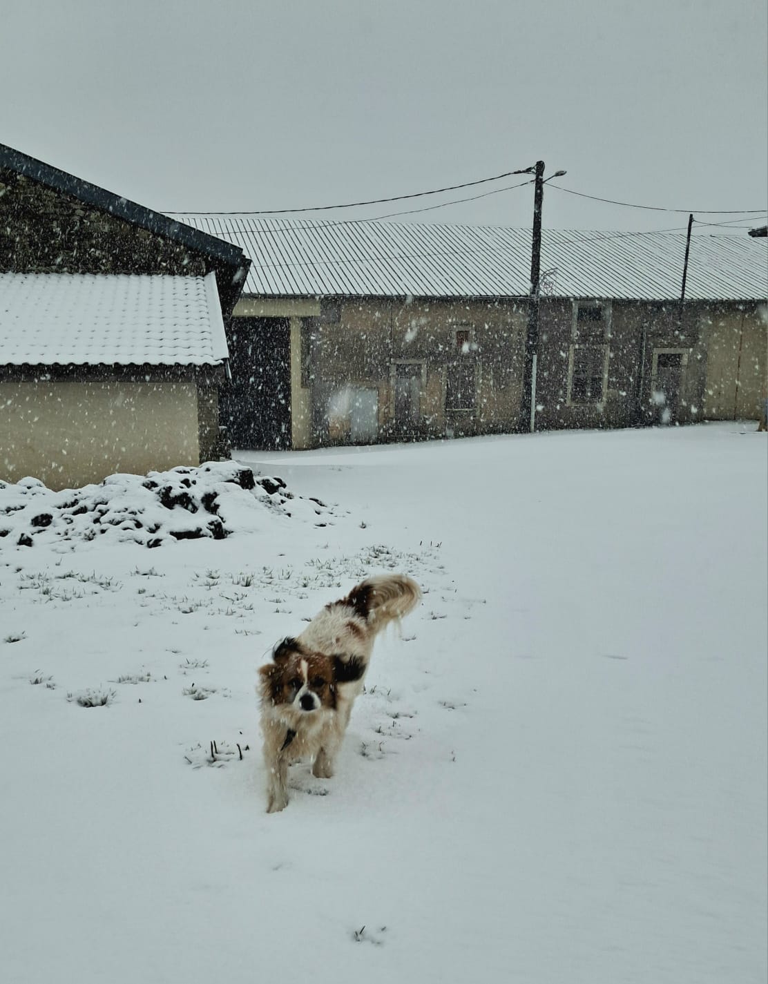 image-19