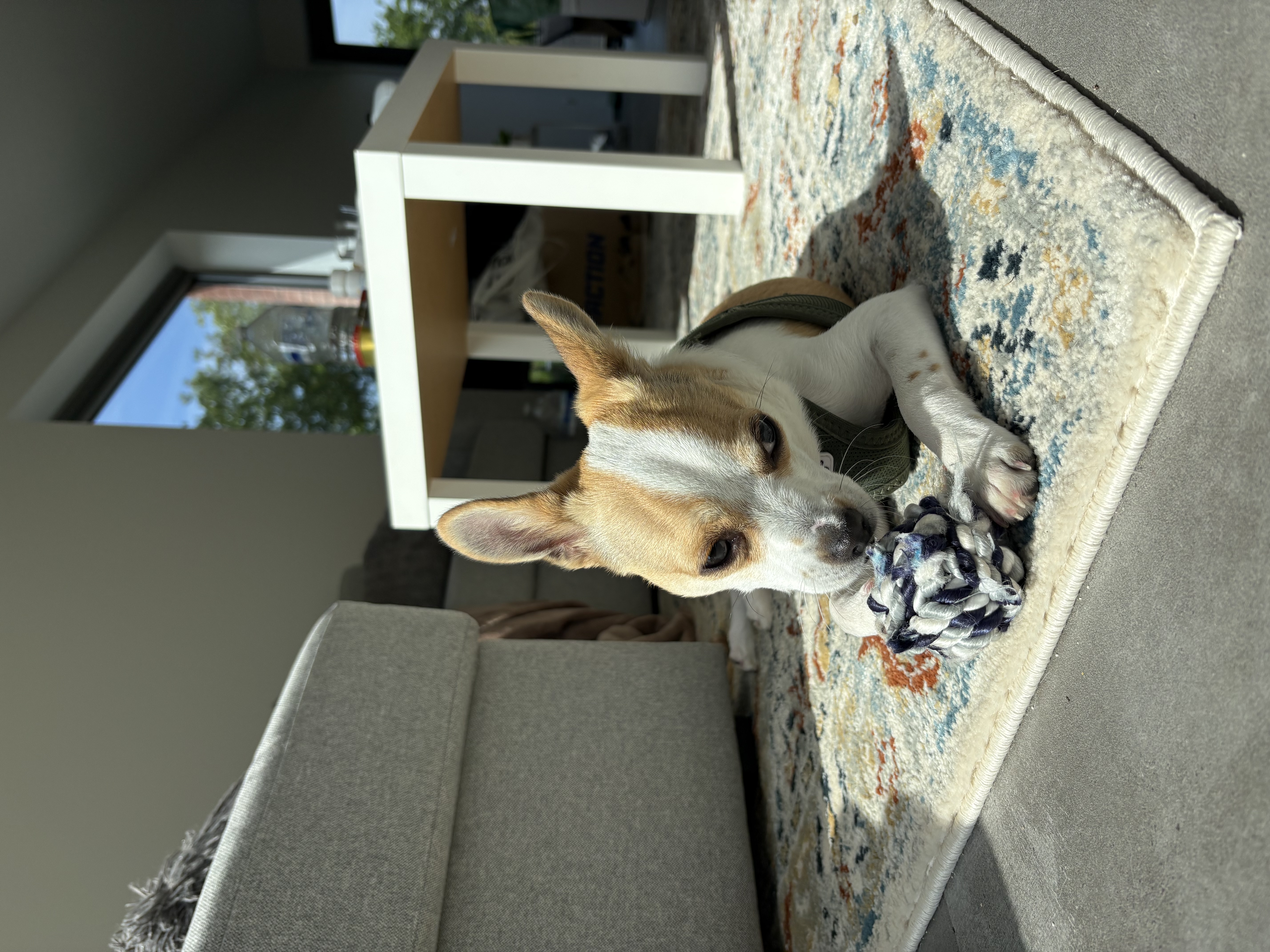 image-16
