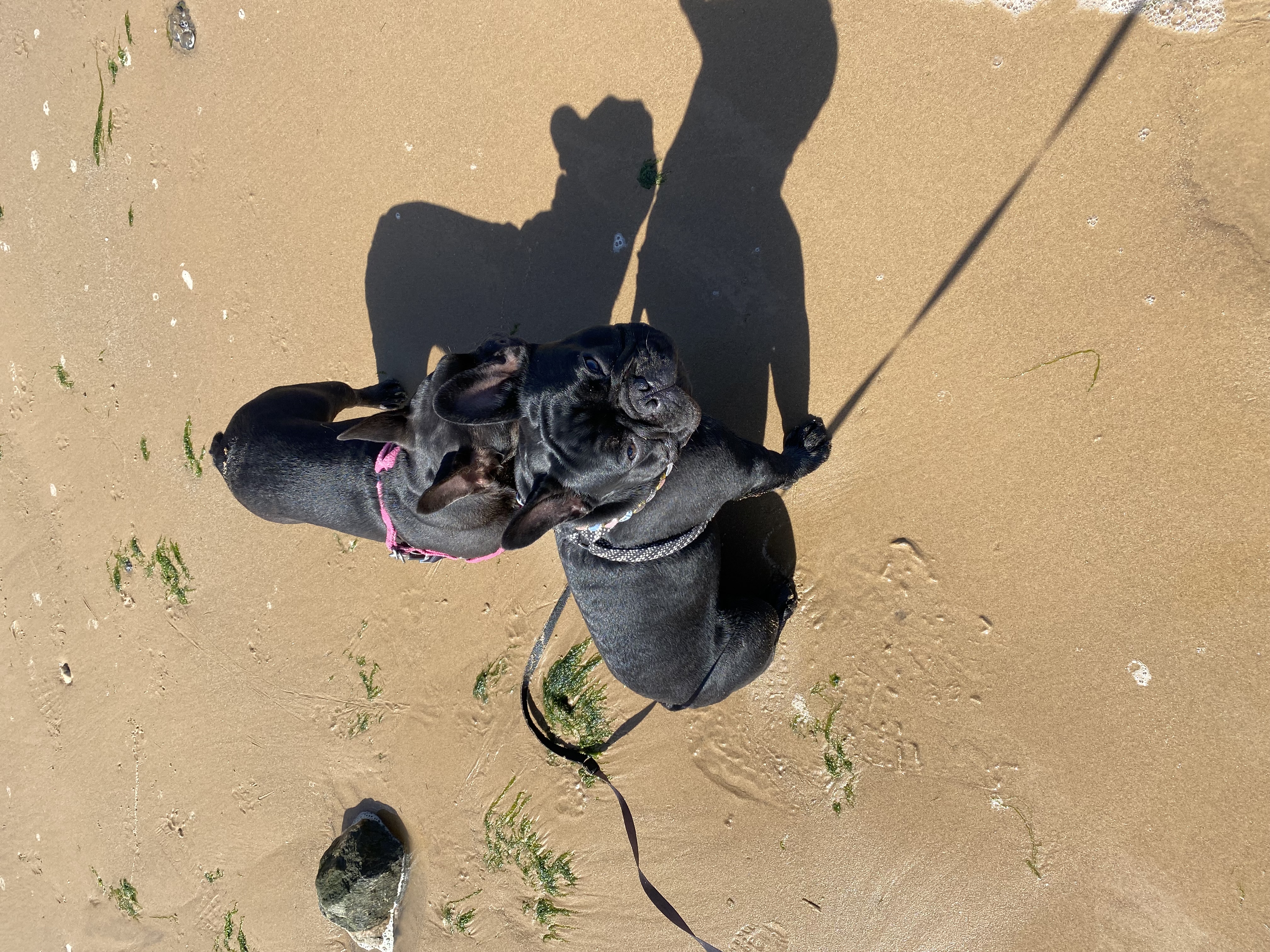 image-8