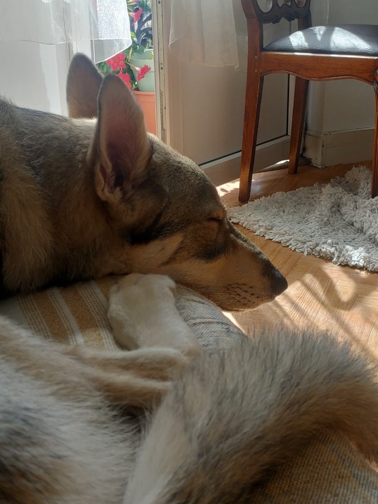 image-11
