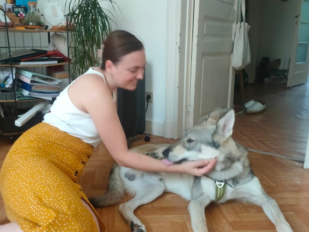 image-9