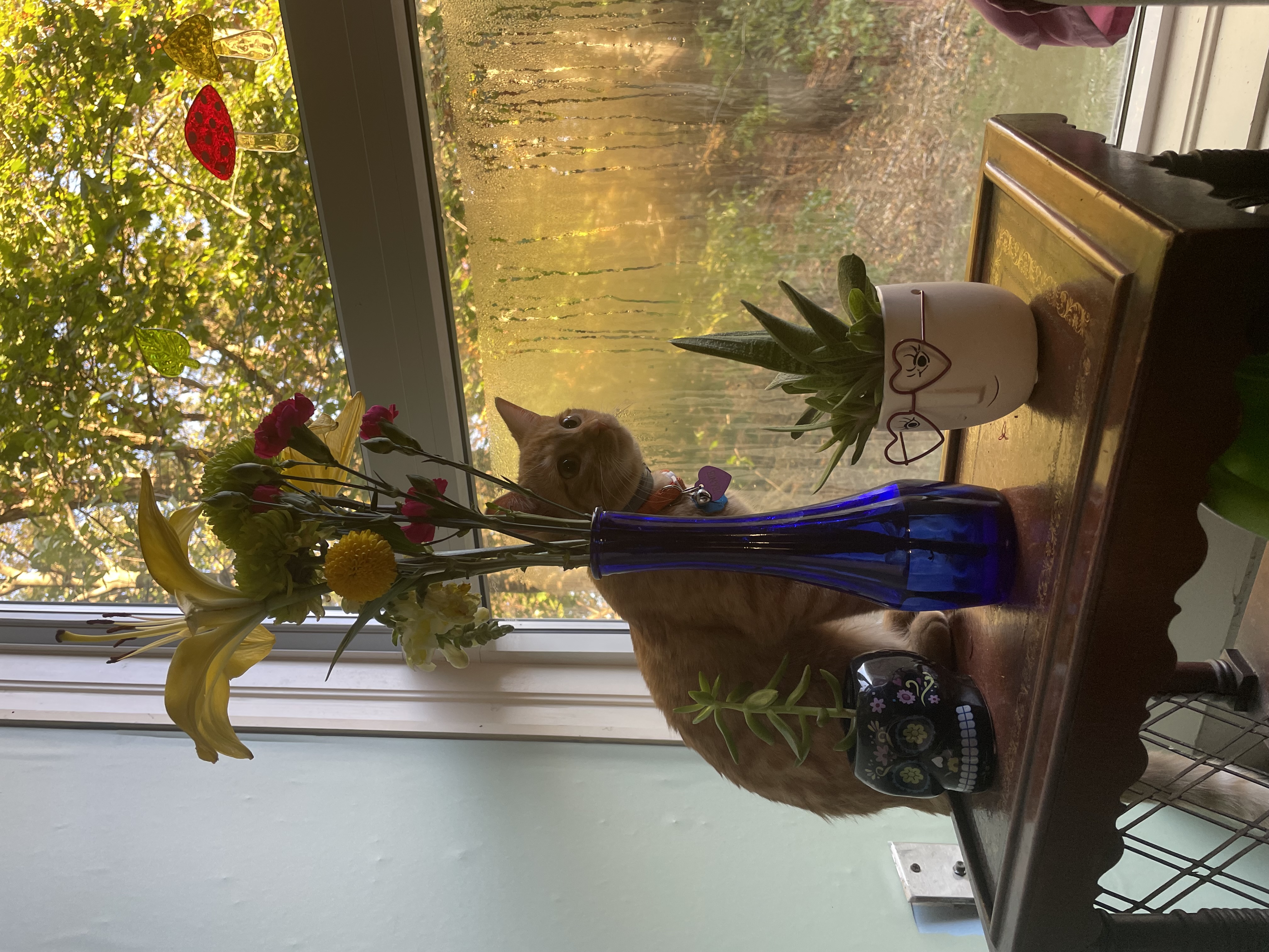 image-6