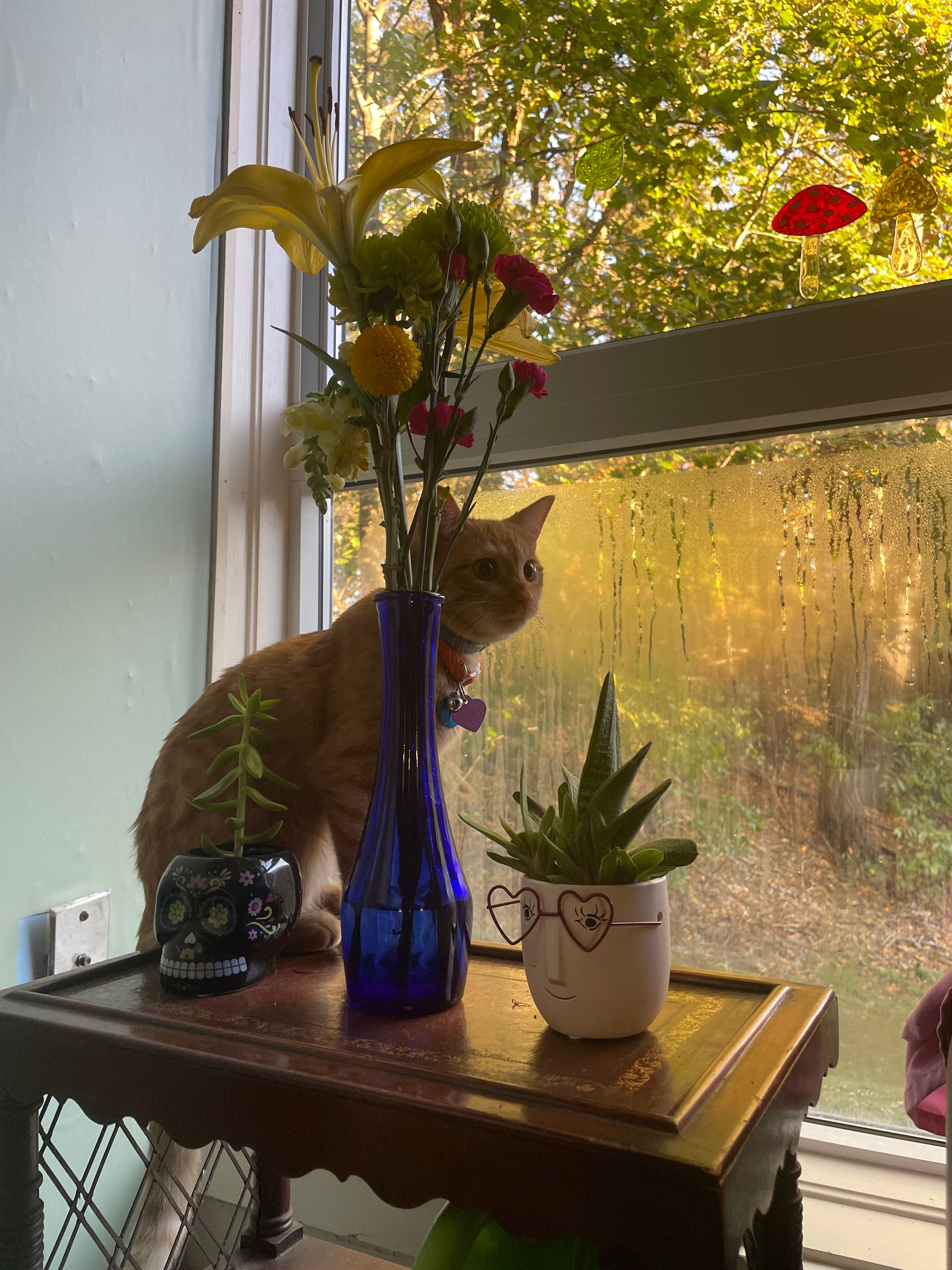 image-6