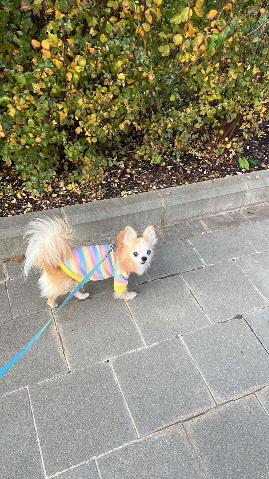 image-8