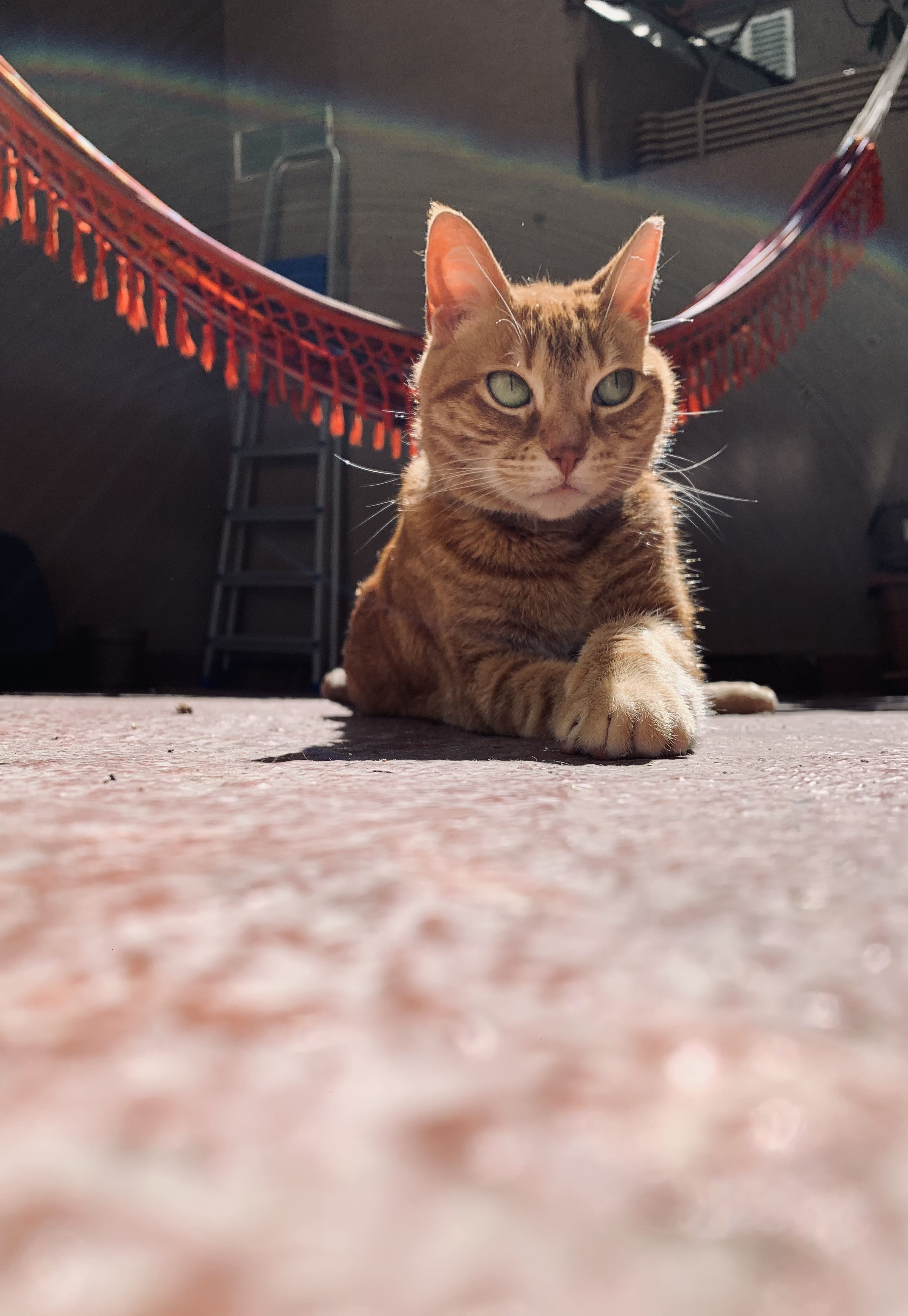 image-11