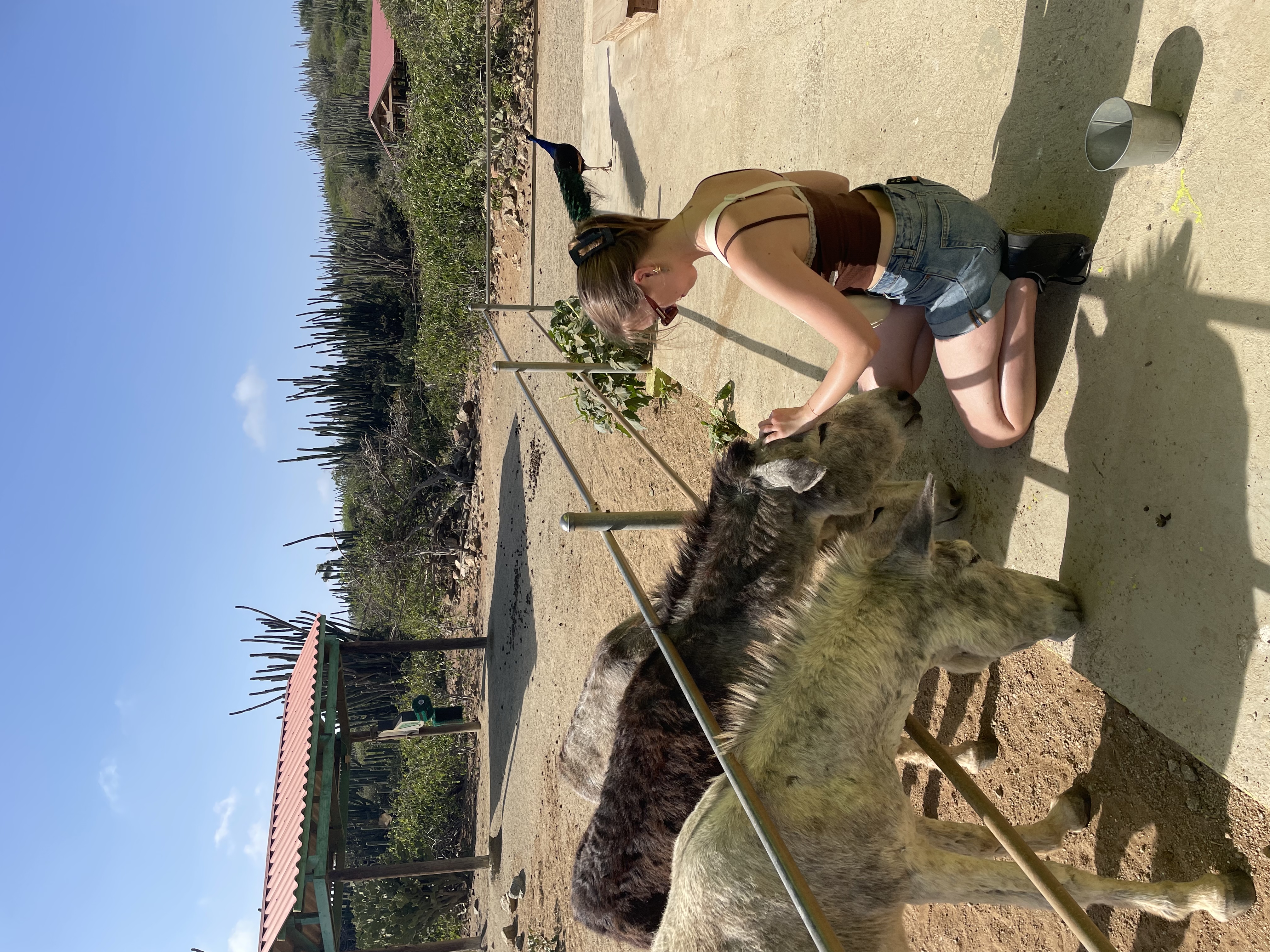 image-3