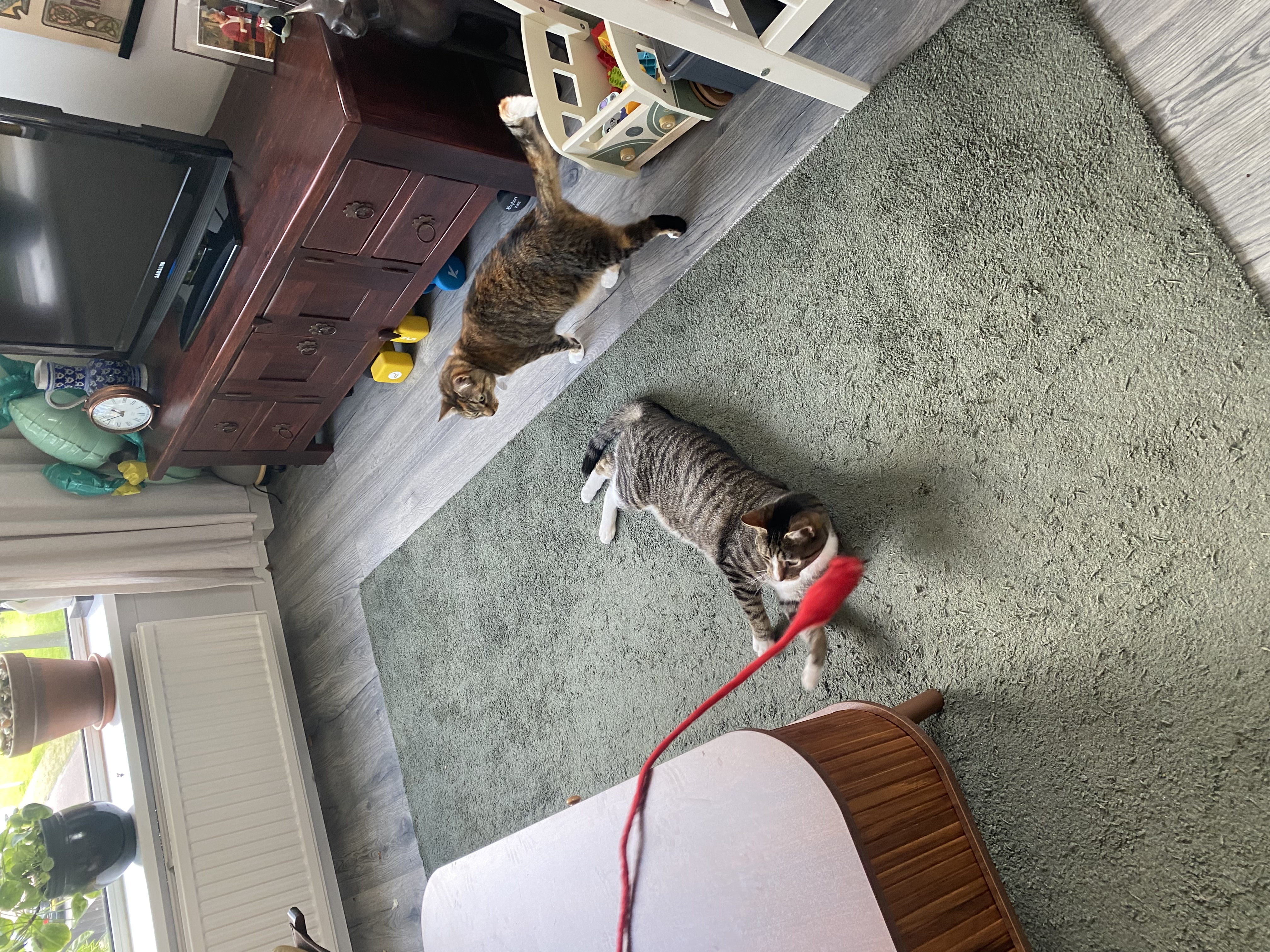 image-15