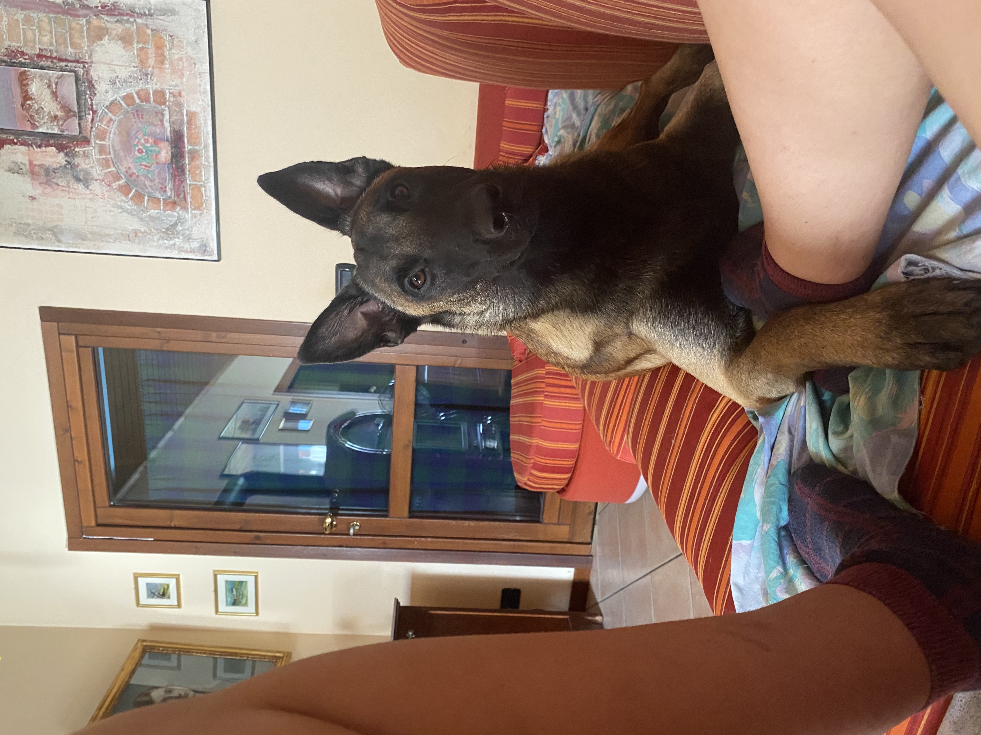 image-48