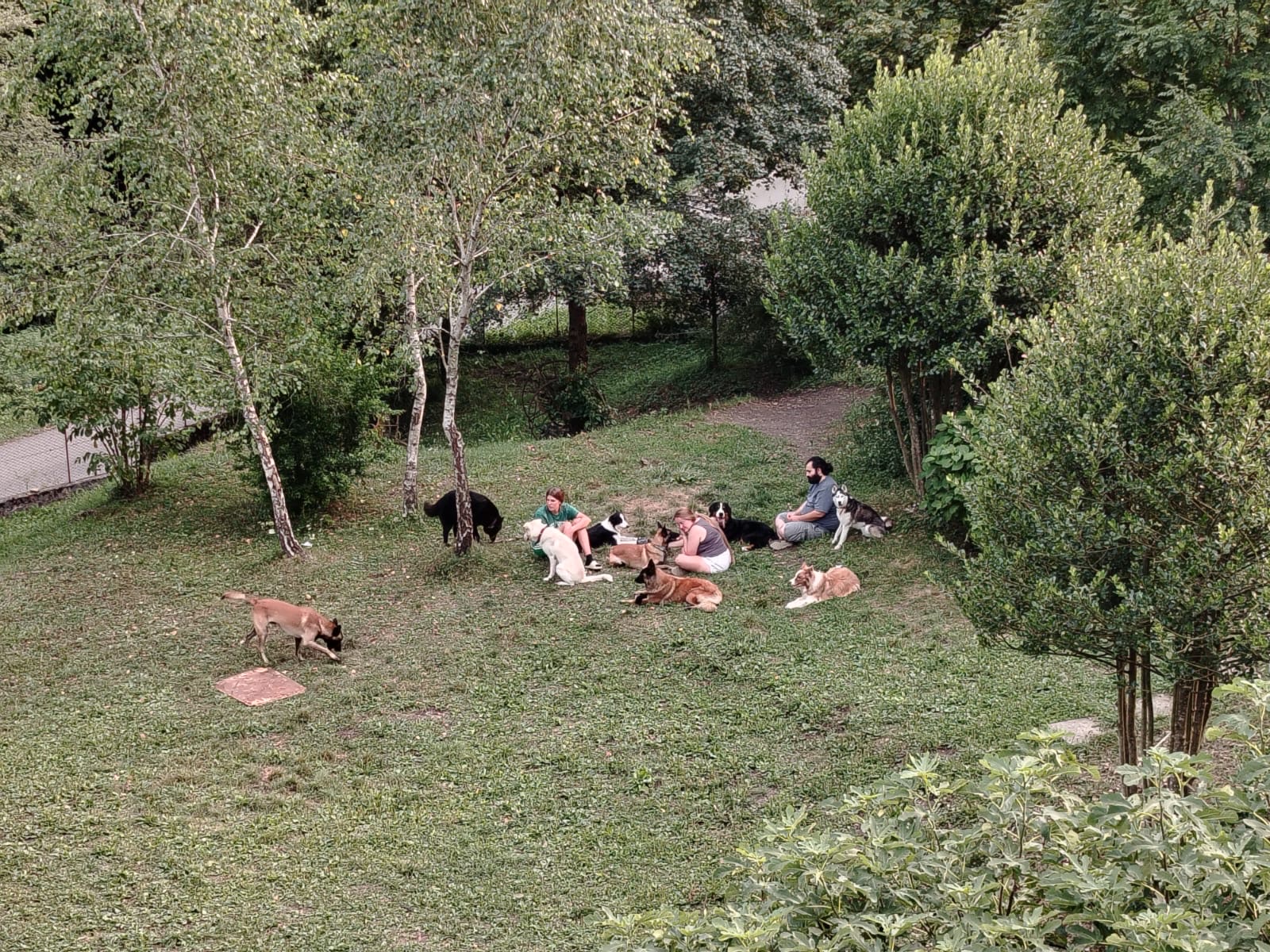 image-65