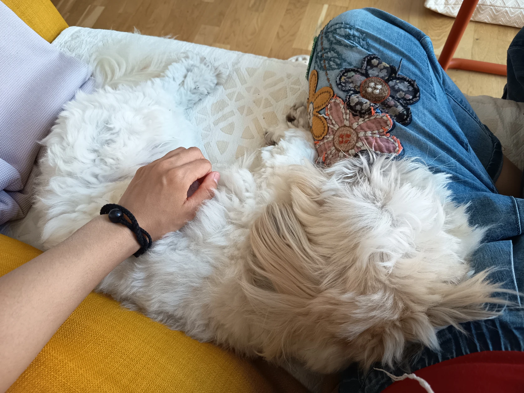 image-9
