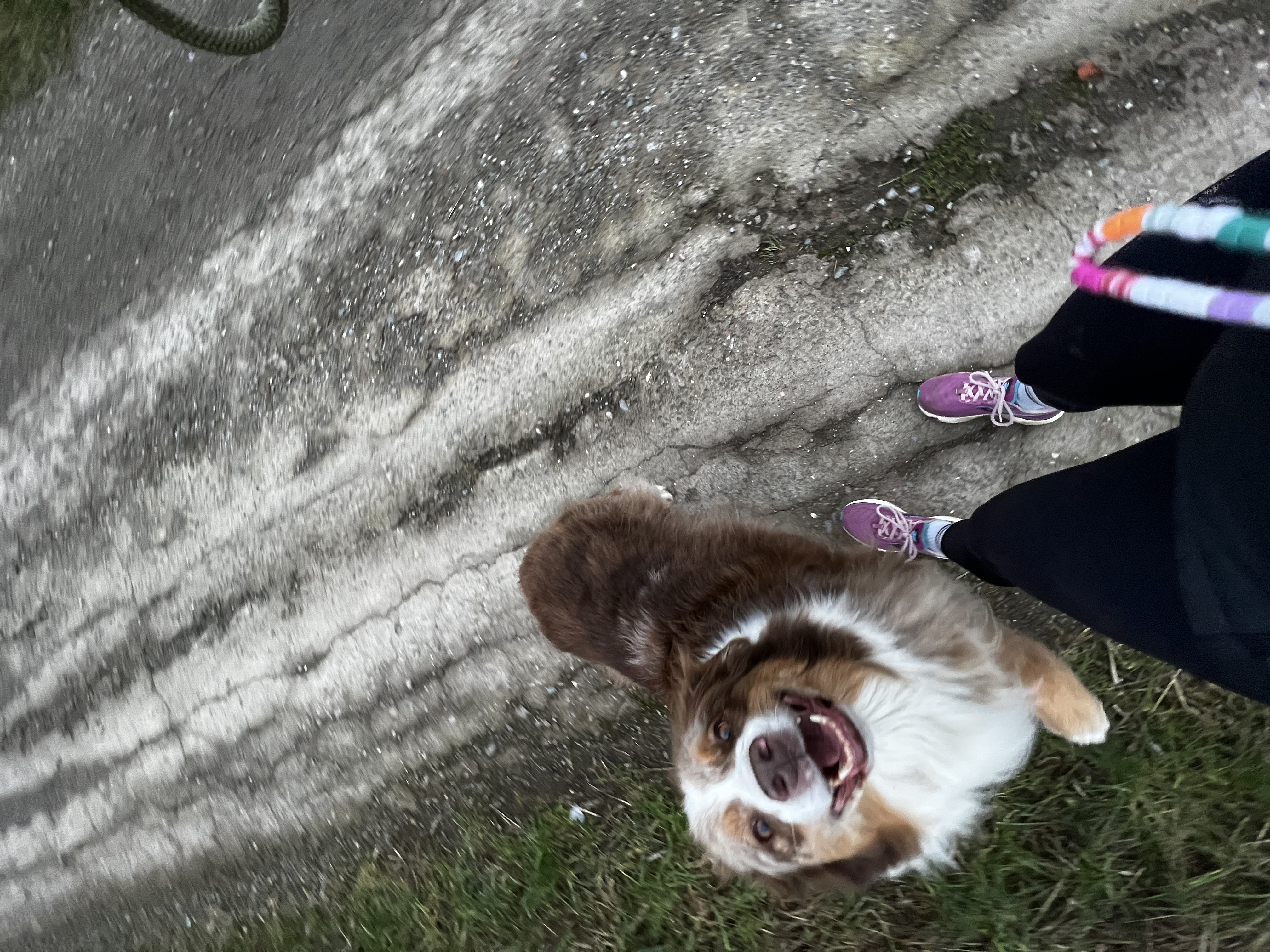 image-5