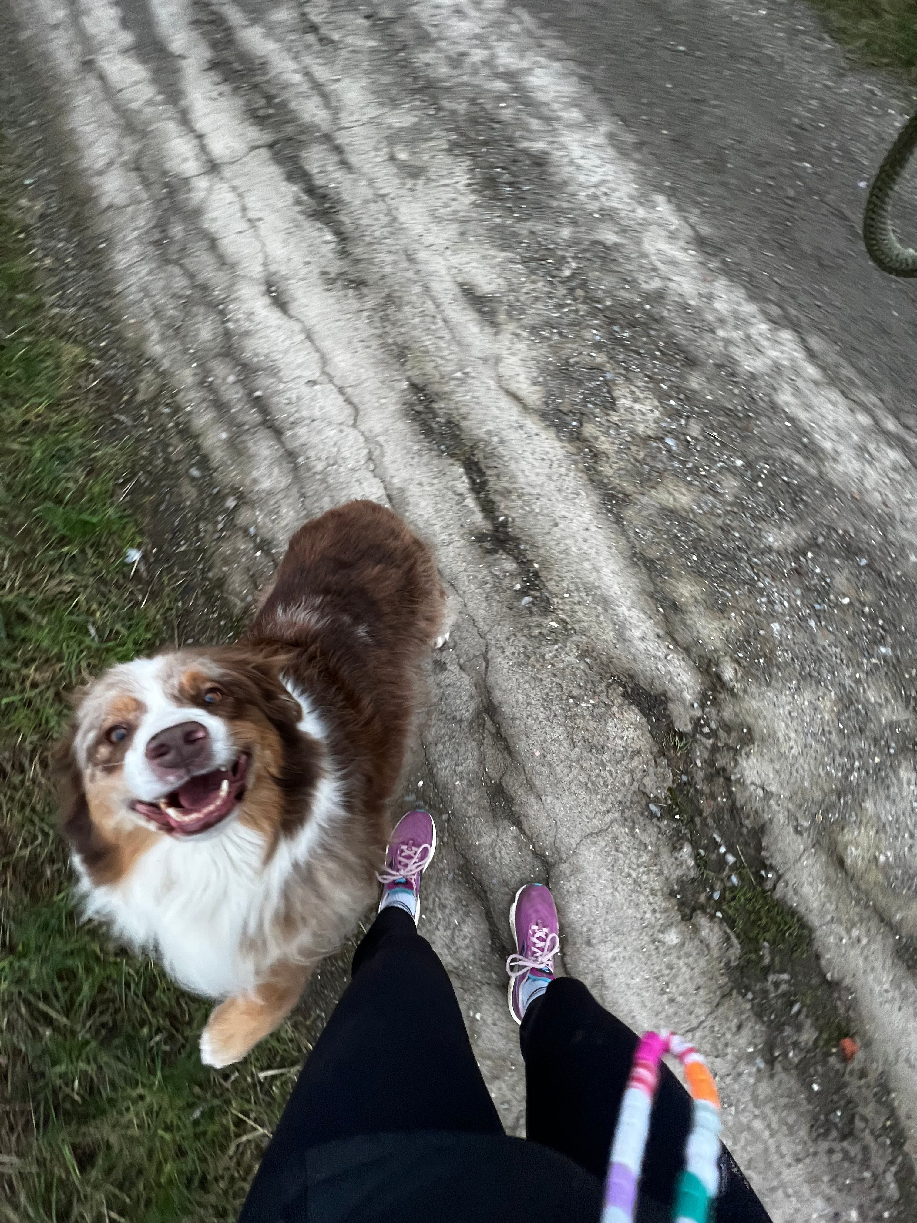 image-5