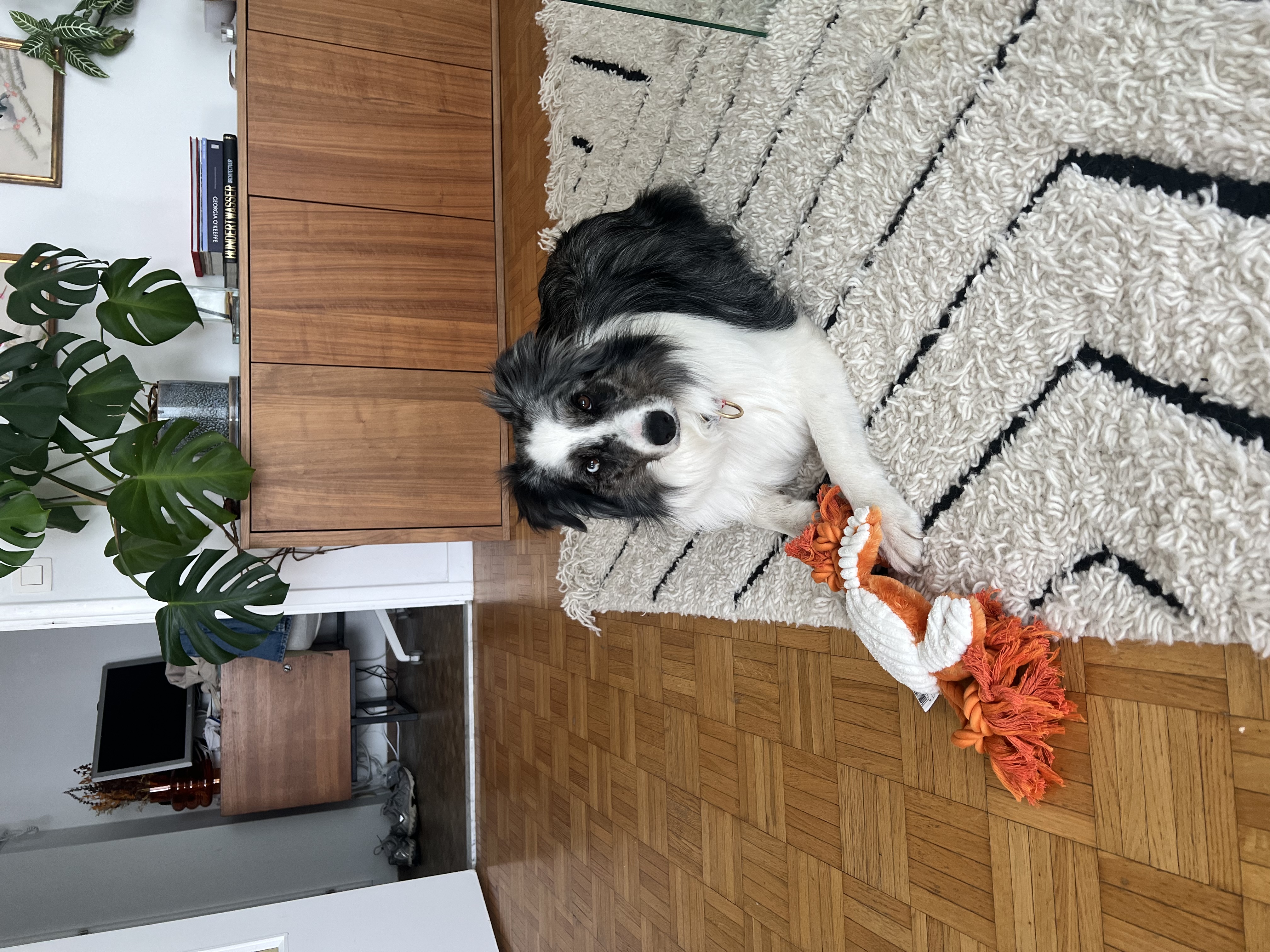 image-8