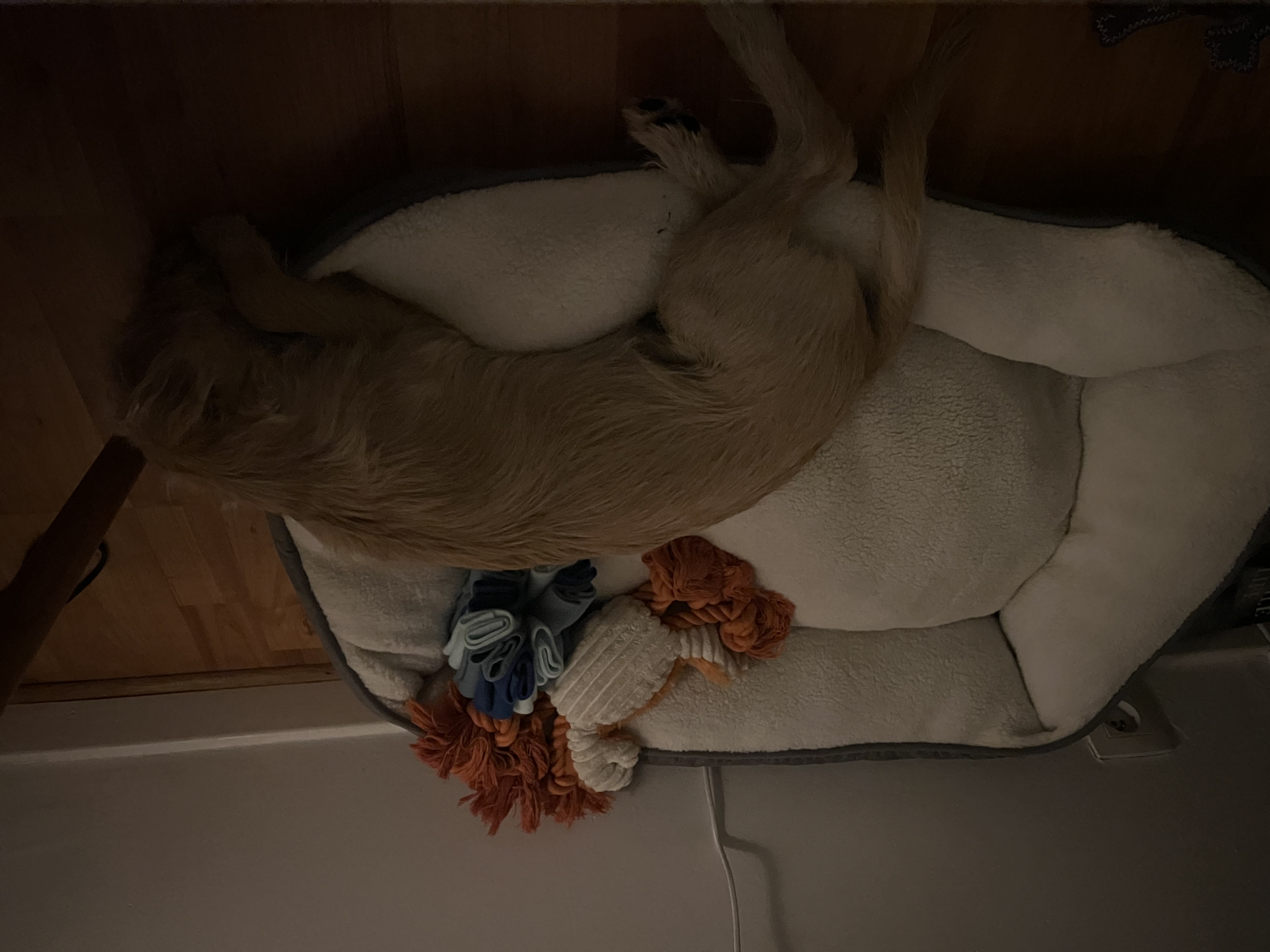image-14