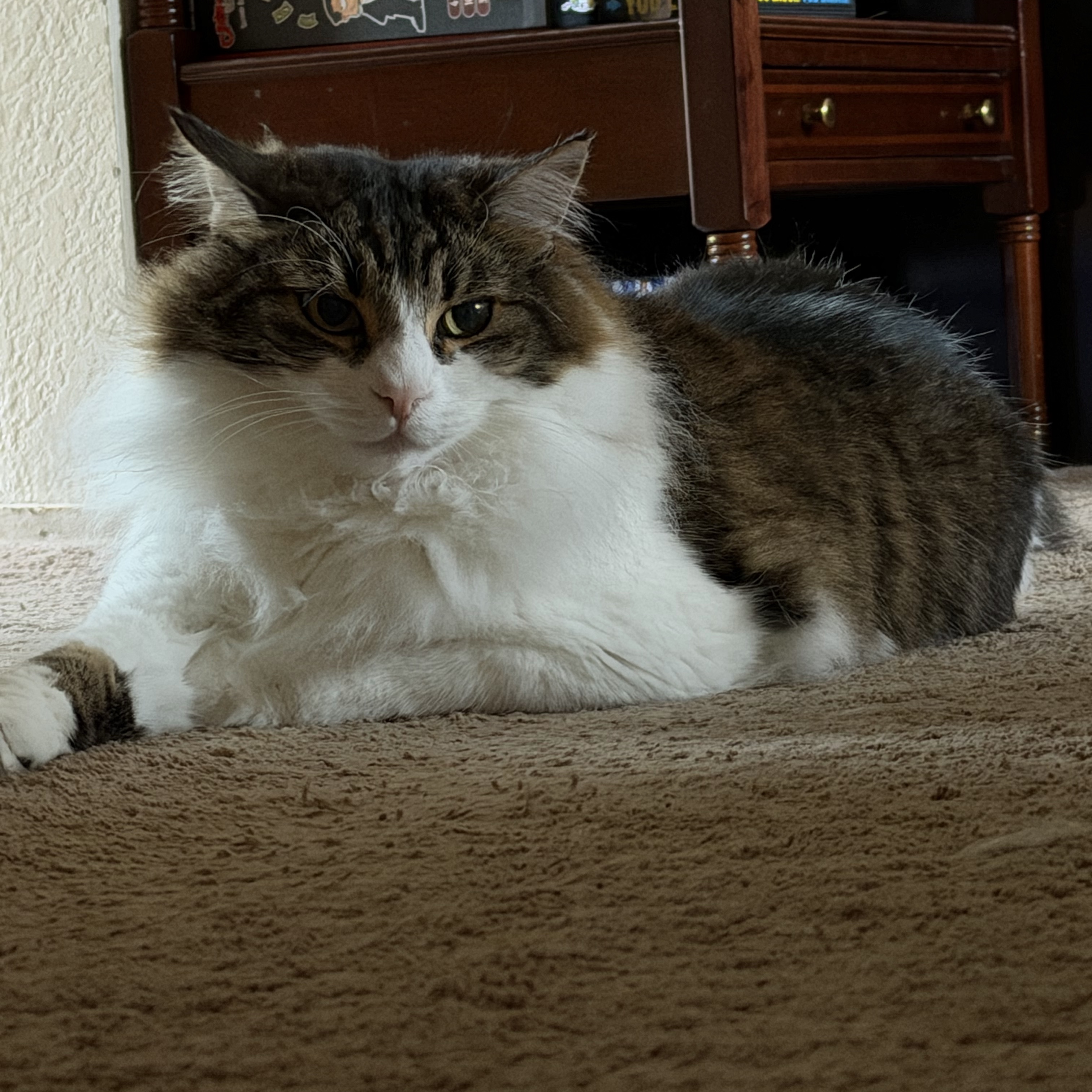Texas Toast (Tex)